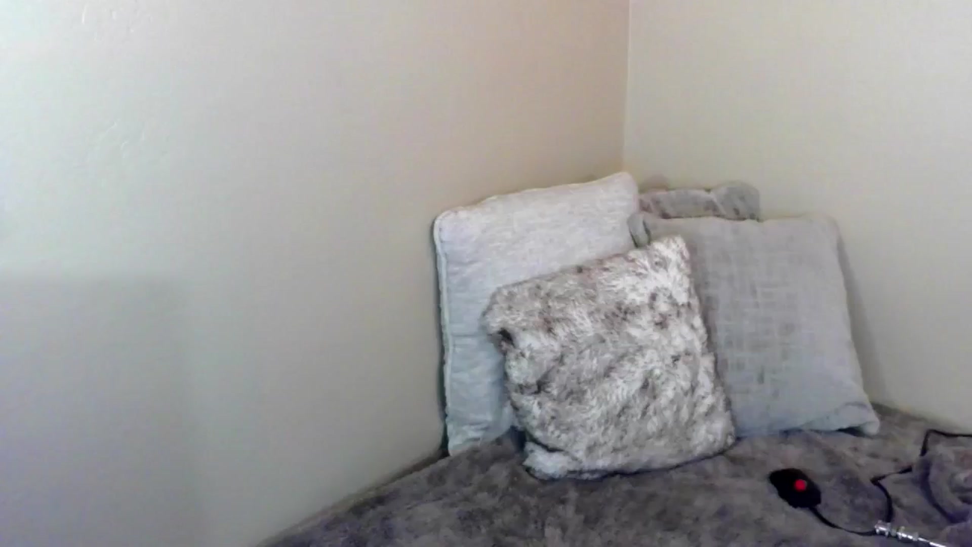 Gallery image thumbnail from PuddinXx's myfreecams stream on, 07/12/2024, 06:09 image 7 of 20