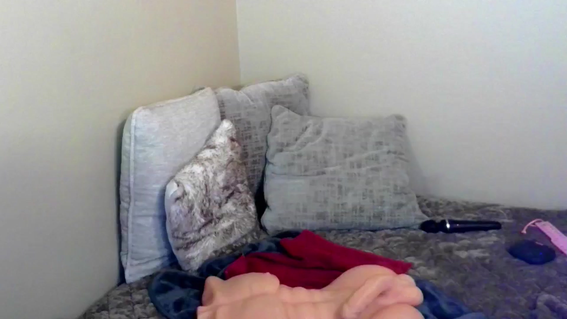 Gallery image thumbnail from PuddinXx's myfreecams stream on, 07/13/2024, 16:19 image 4 of 20