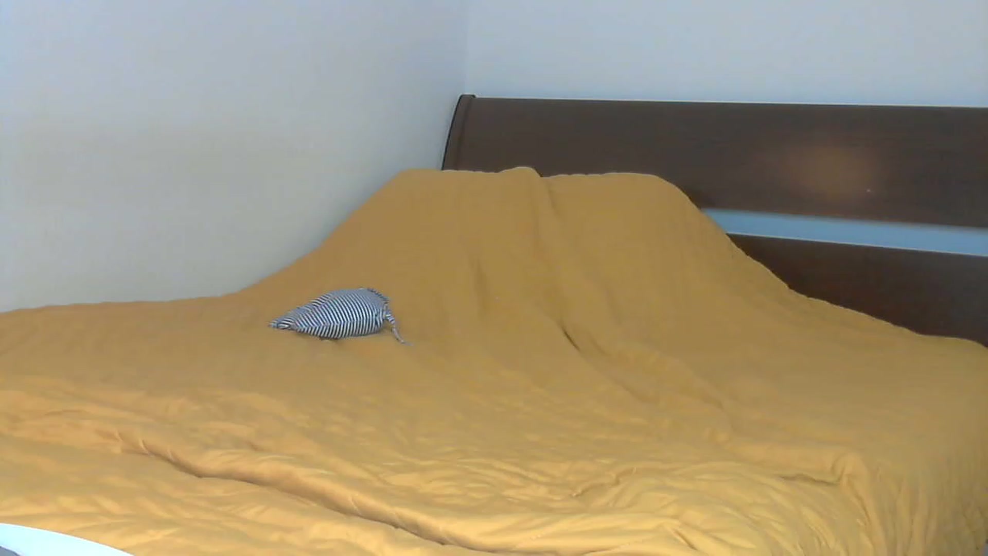 Gallery image thumbnail from Pumpkinhott's myfreecams stream on, 11/23/2022, 17:23 image 13 of 20