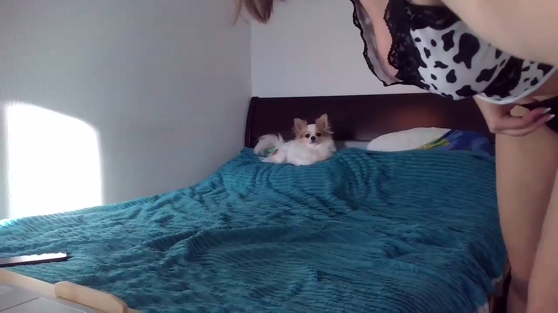 Gallery image thumbnail from Pumpkinhott's myfreecams stream on, 10/31/2024, 10:12 image 1 of 20