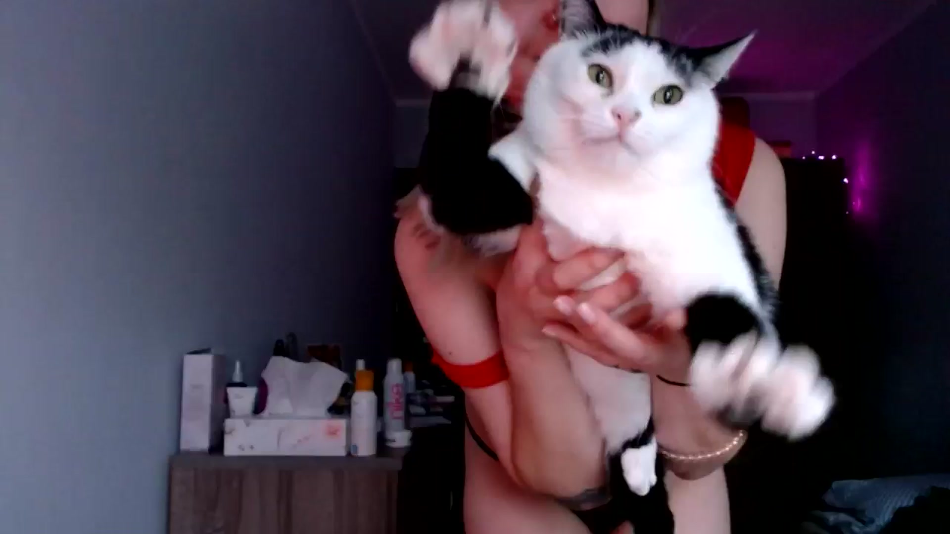 Gallery image thumbnail from Punk_Cake's myfreecams stream on, 06/22/2024, 18:51 image 1 of 20