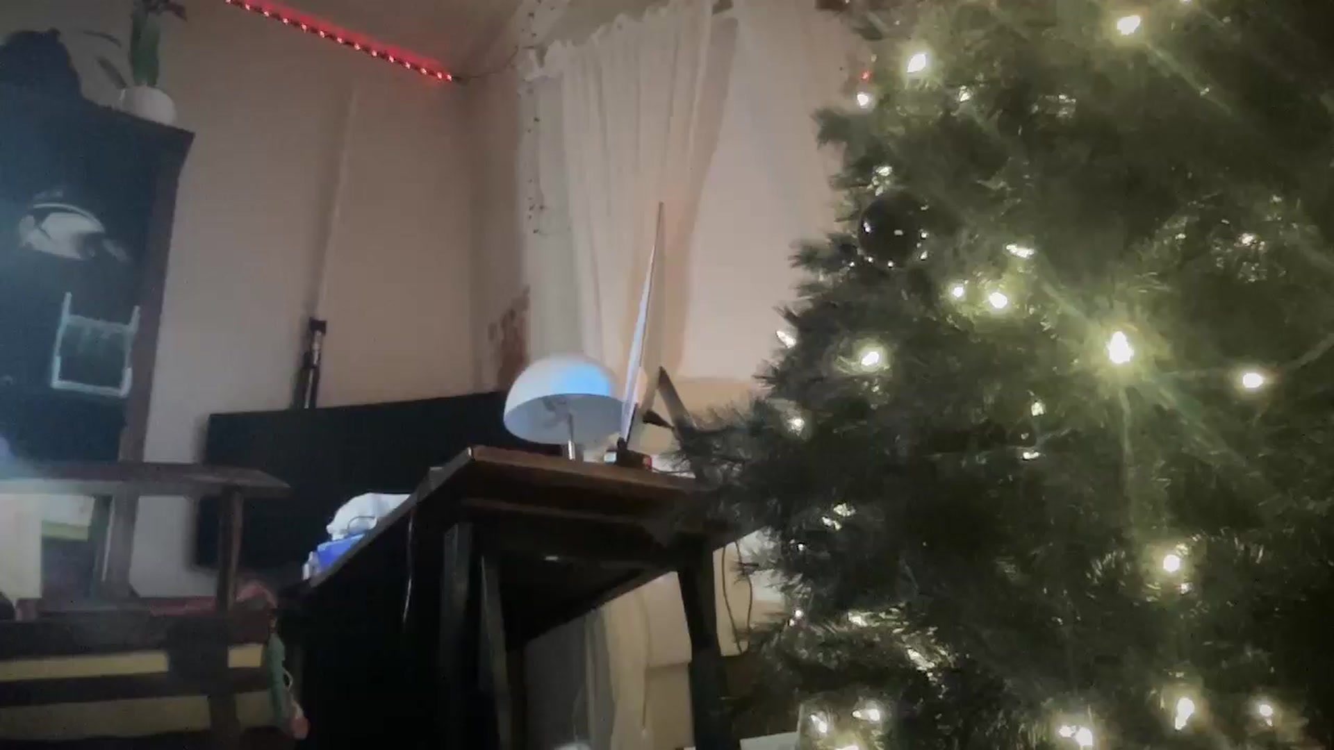 Gallery image thumbnail from Puppy_Pinky's myfreecams stream on, 12/06/2024, 11:25 image 4 of 20