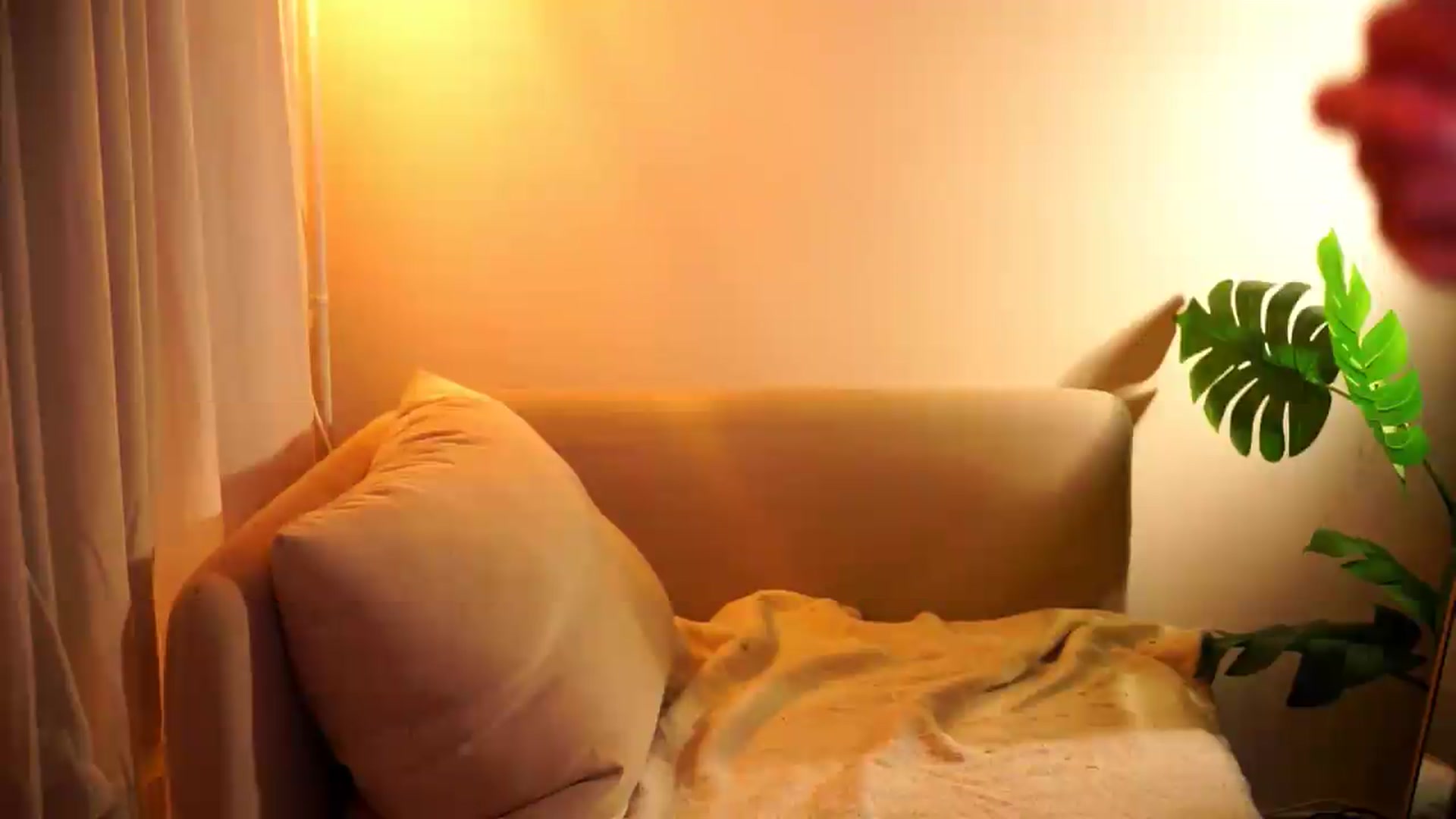 Gallery image thumbnail from PurrPure's myfreecams stream on, 09/13/2026, 19:21 image 10 of 20