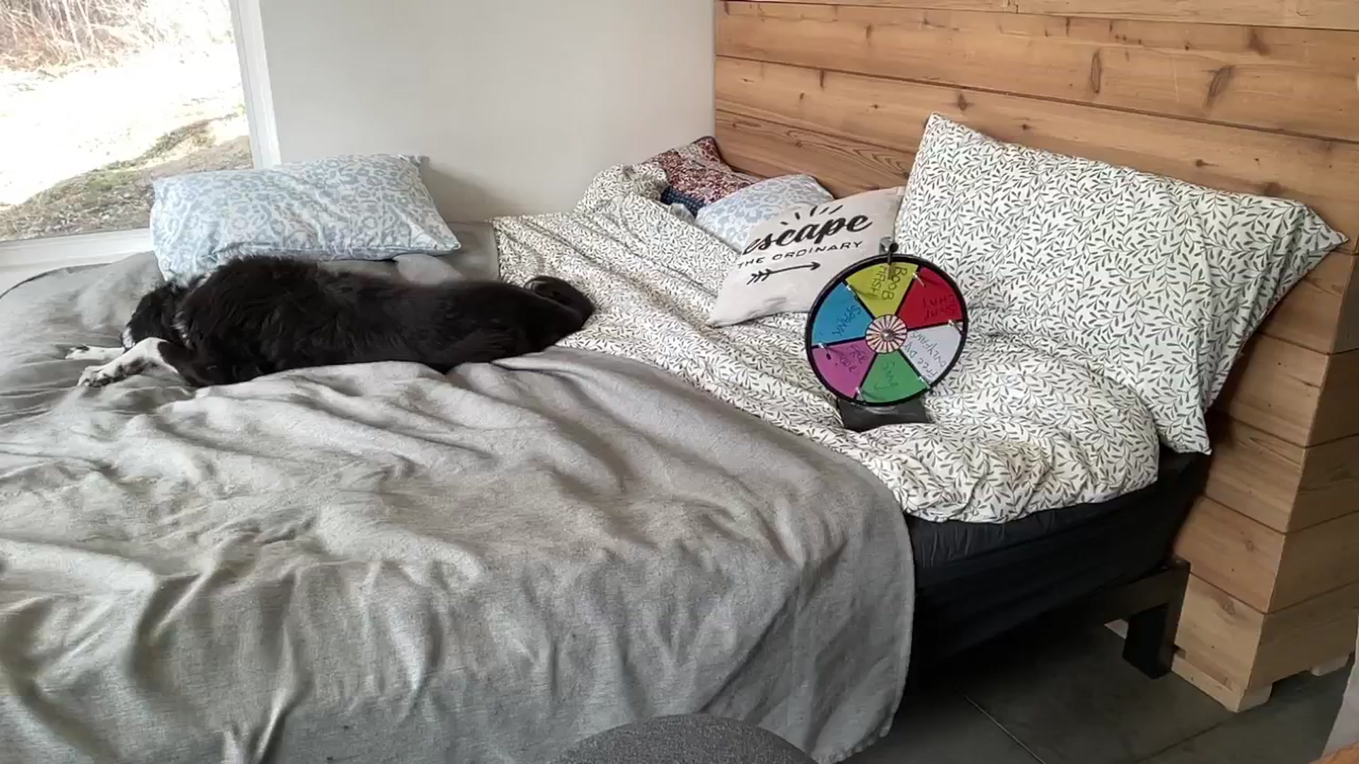 Gallery image thumbnail from PurrtyMetal's myfreecams stream on, 03/23/2026, 21:11 image 15 of 20