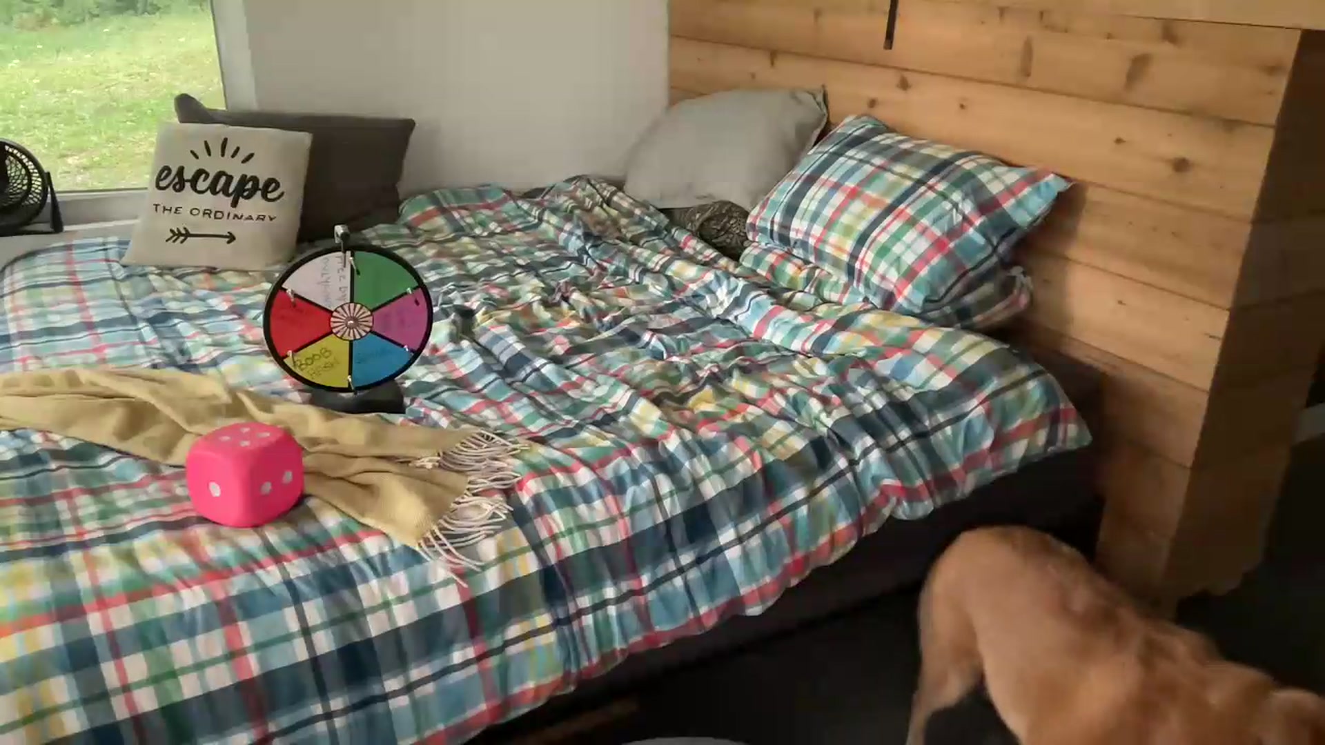 Gallery image thumbnail from PurrtyMetal's myfreecams stream on, 07/23/2026, 22:13 image 20 of 20