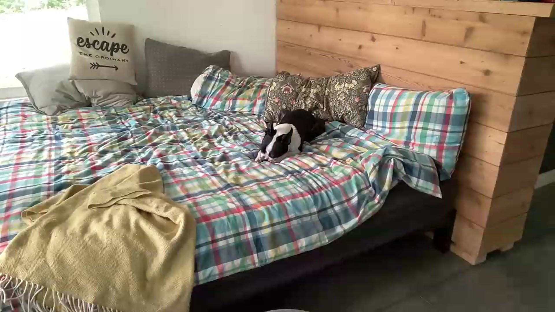 Gallery image thumbnail from PurrtyMetal's myfreecams stream on, 08/08/2026, 22:32 image 8 of 20