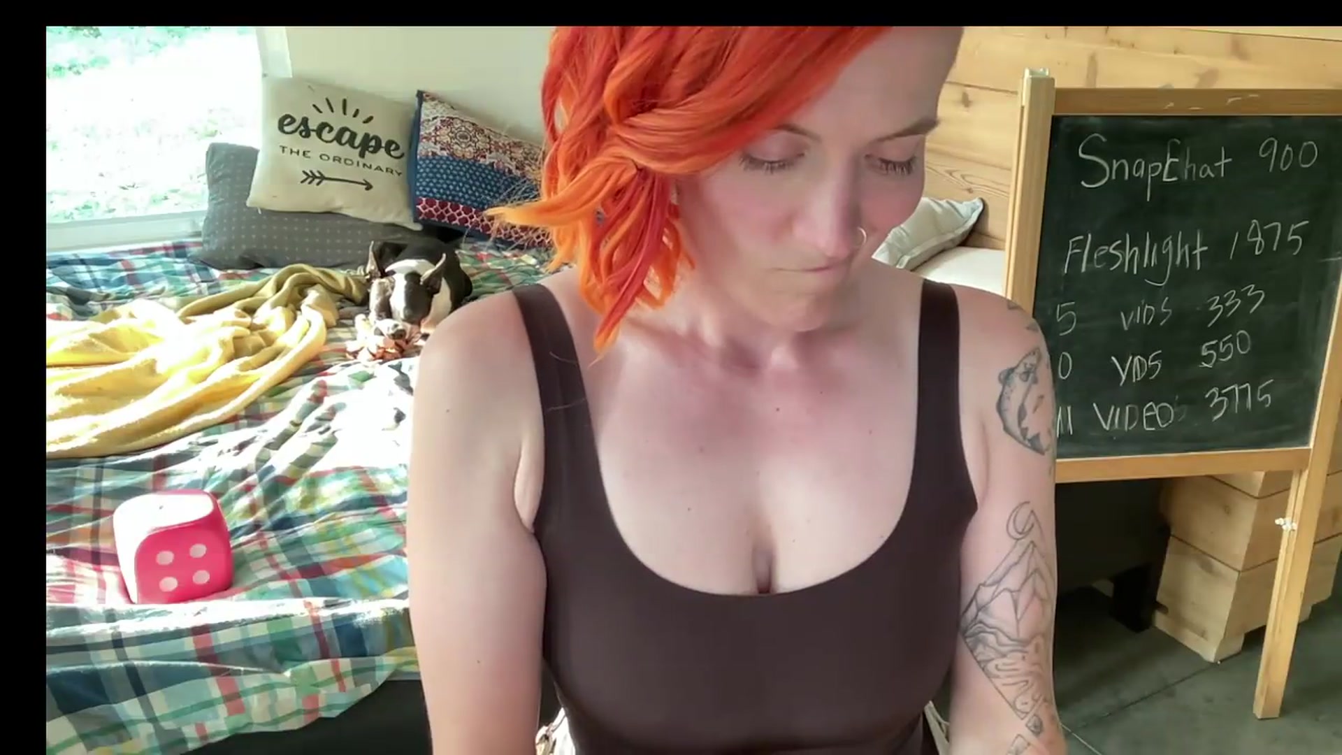 Gallery image thumbnail from PurrtyMetal's myfreecams stream on, 08/22/2026, 24:59 image 15 of 20