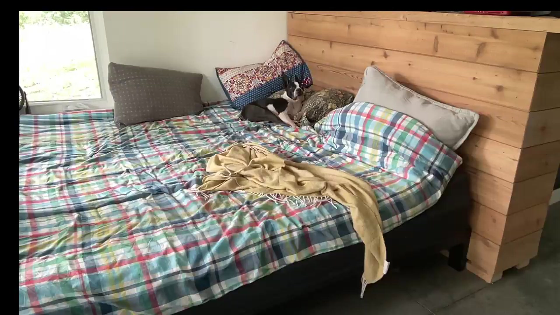 Gallery image thumbnail from PurrtyMetal's myfreecams stream on, 08/22/2026, 19:36 image 14 of 20
