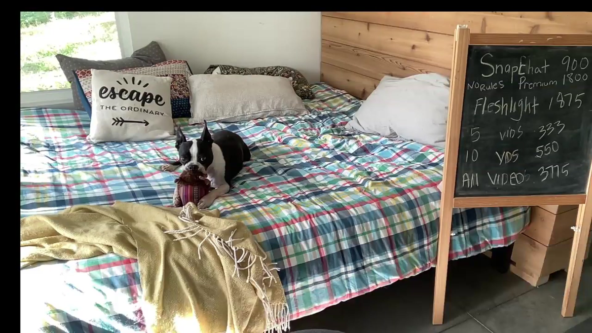 Gallery image thumbnail from PurrtyMetal's myfreecams stream on, 08/25/2026, 24:16 image 8 of 20