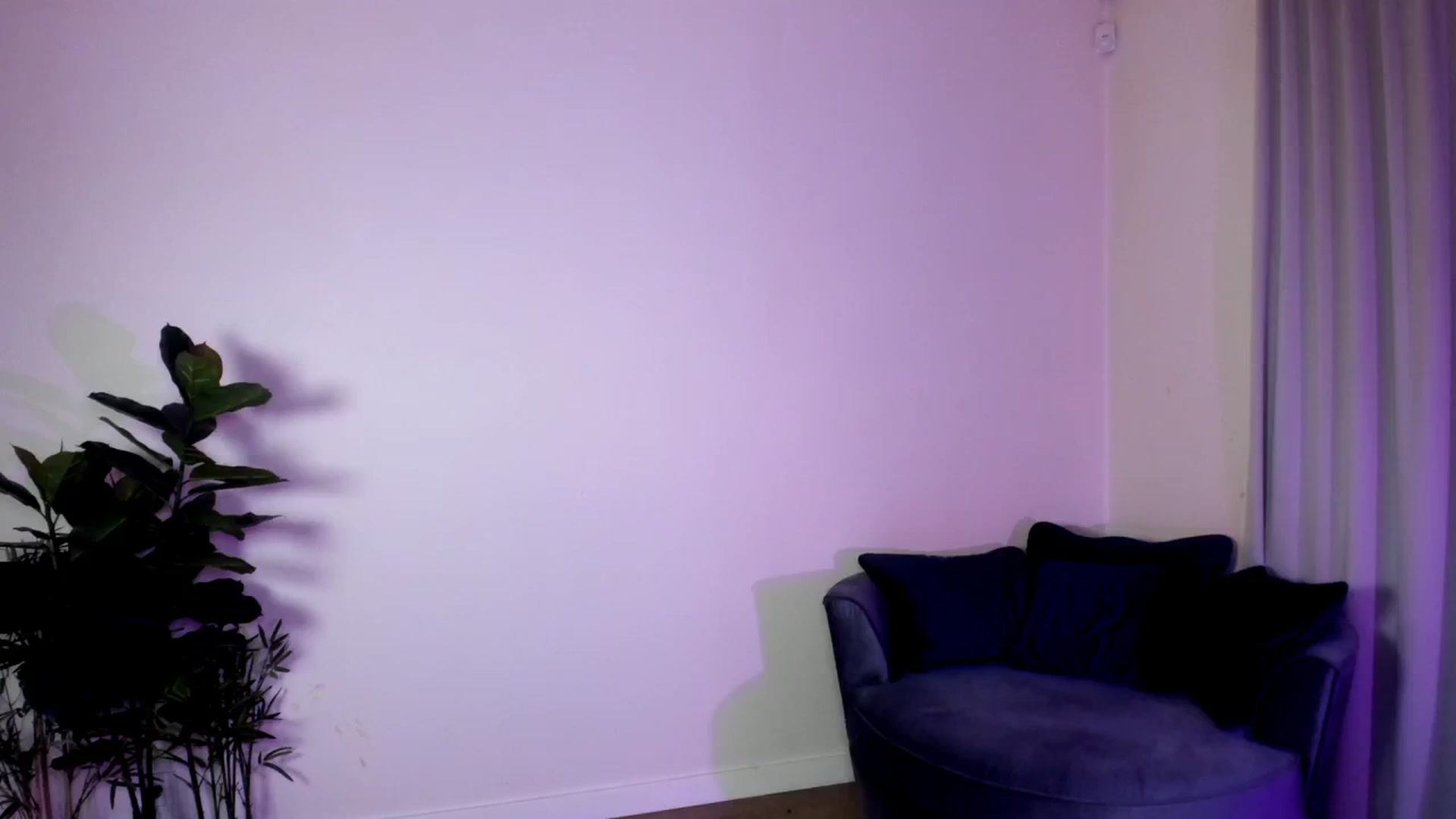 Gallery image thumbnail from PussyTron's myfreecams stream on, 07/15/2024, 02:12 image 13 of 20