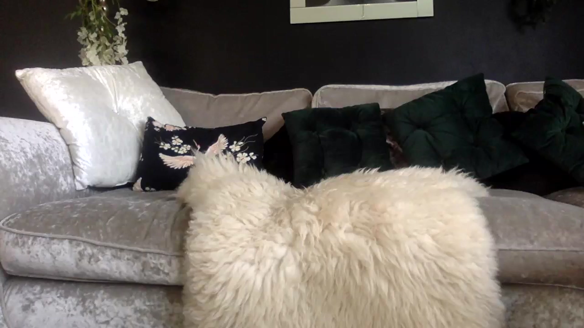Gallery image thumbnail from Puurrfection's myfreecams stream on, 03/08/2024, 15:34 image 19 of 20