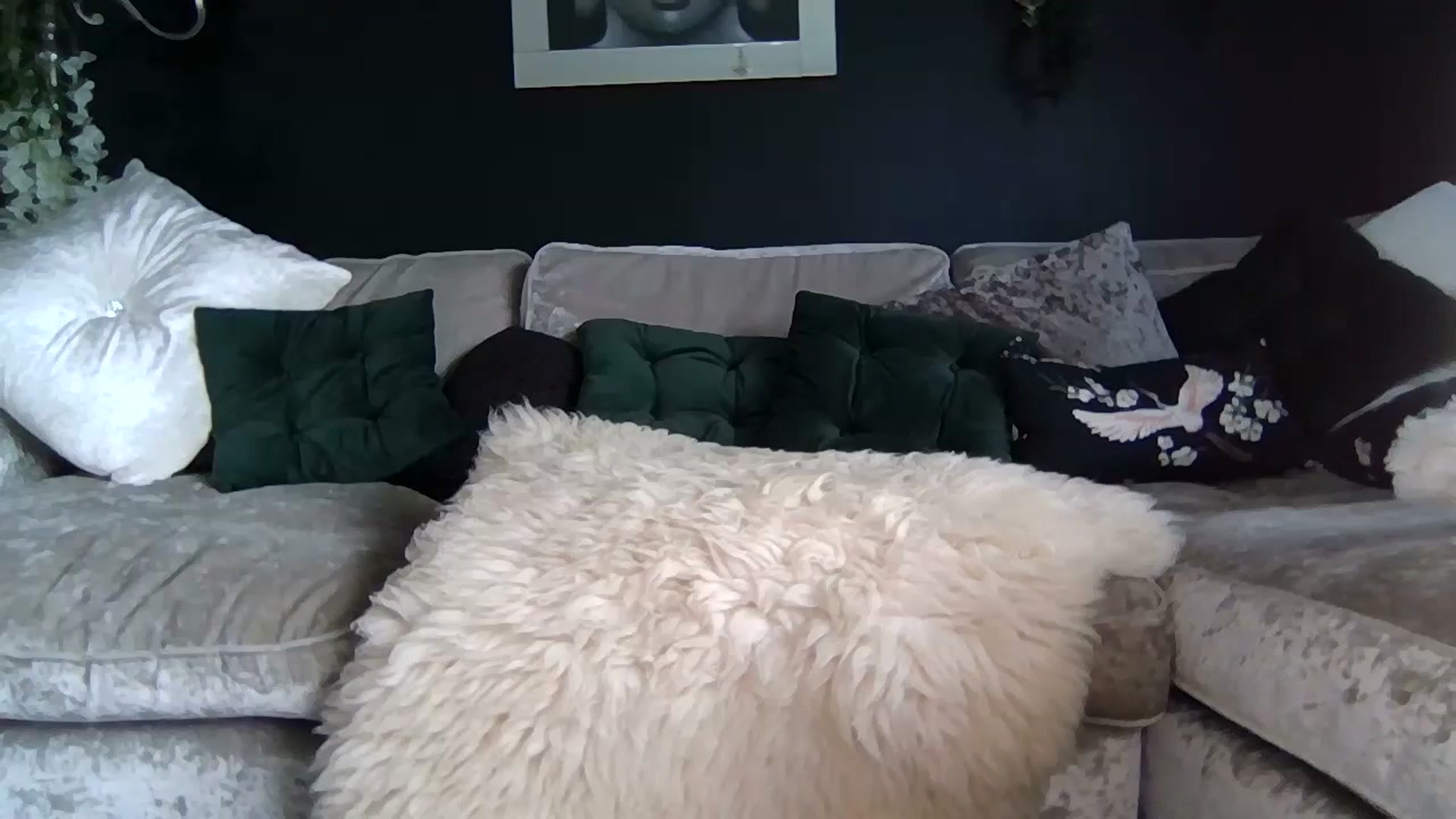 Gallery image thumbnail from Puurrfection's myfreecams stream on, 07/11/2024, 13:38 image 8 of 20