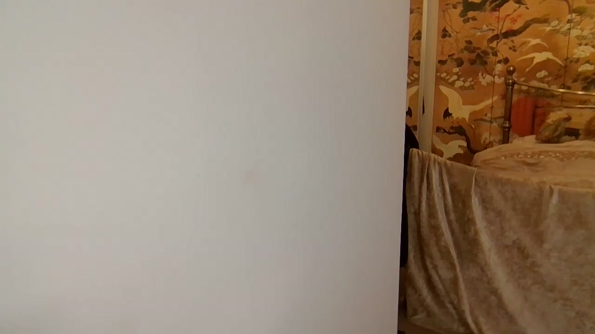 Gallery image thumbnail from Puurrfection's myfreecams stream on, 08/28/2024, 13:54 image 18 of 20