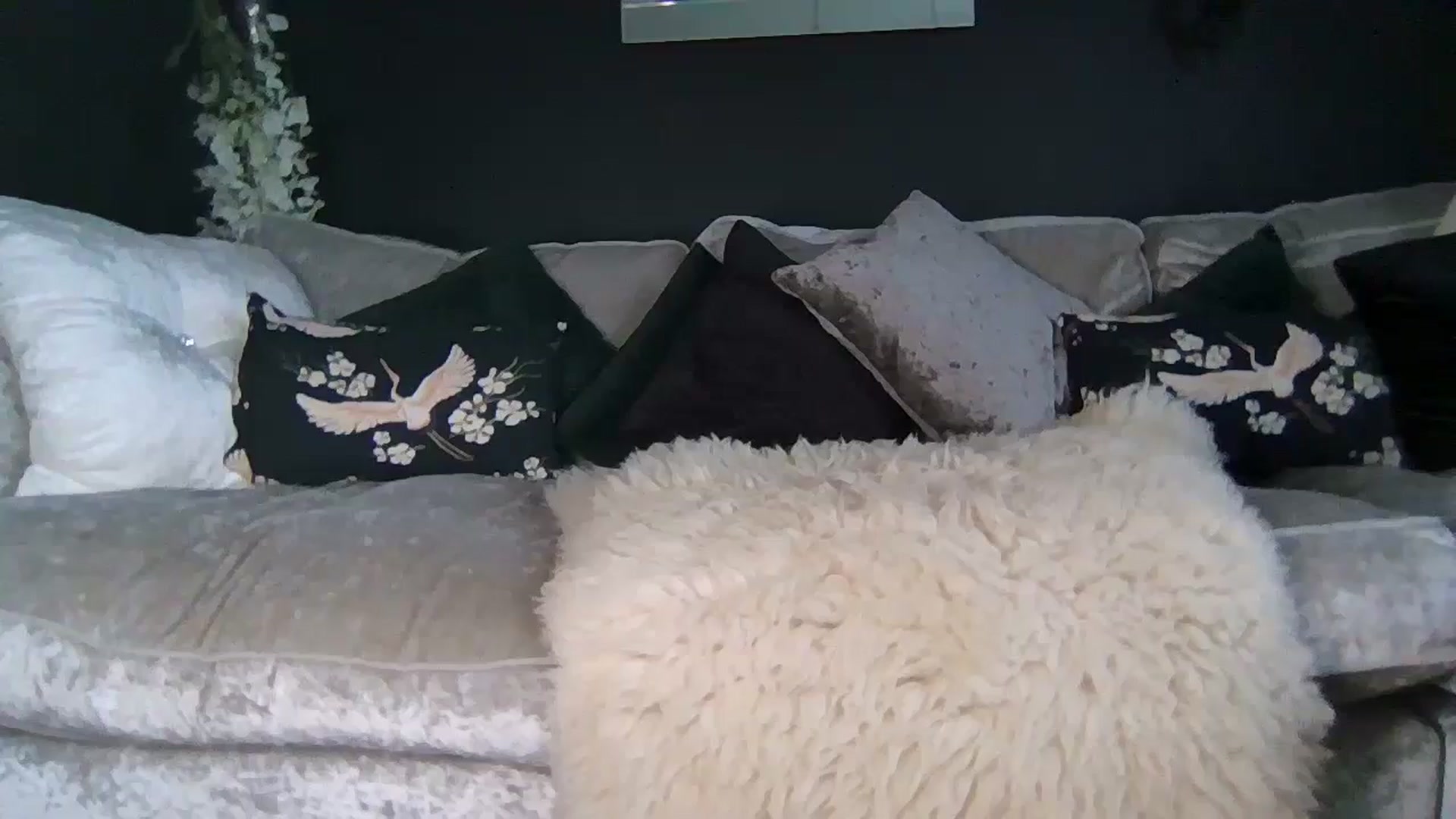 Gallery image thumbnail from Puurrfection's myfreecams stream on, 10/21/2024, 14:01 image 12 of 20