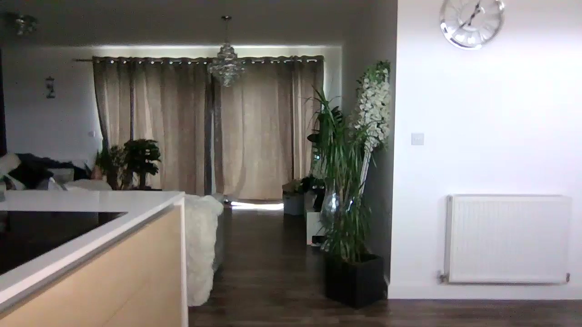 Gallery image thumbnail from Puurrfection's myfreecams stream on, 01/21/2025, 12:53 image 12 of 20
