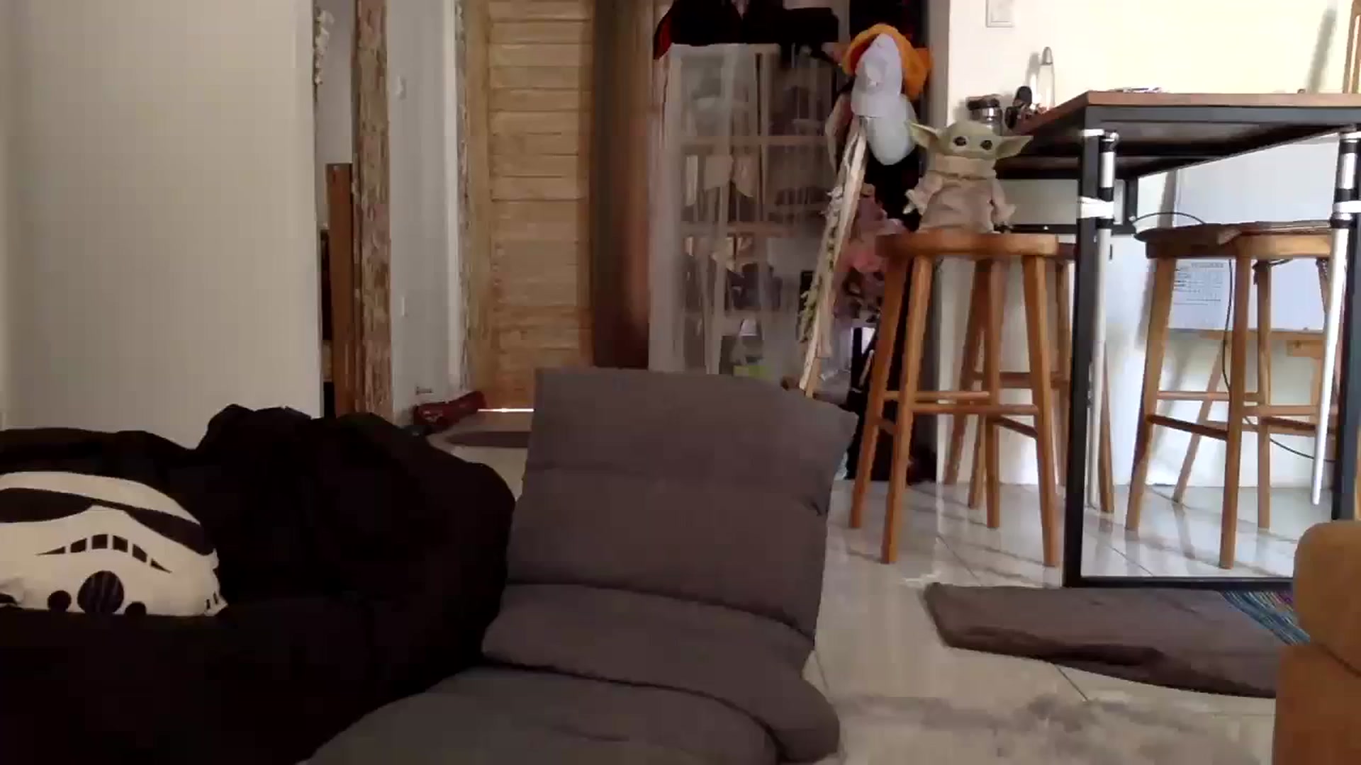 Gallery image thumbnail from Qi_ra's myfreecams stream on, 10/18/2023, 03:38 image 16 of 20
