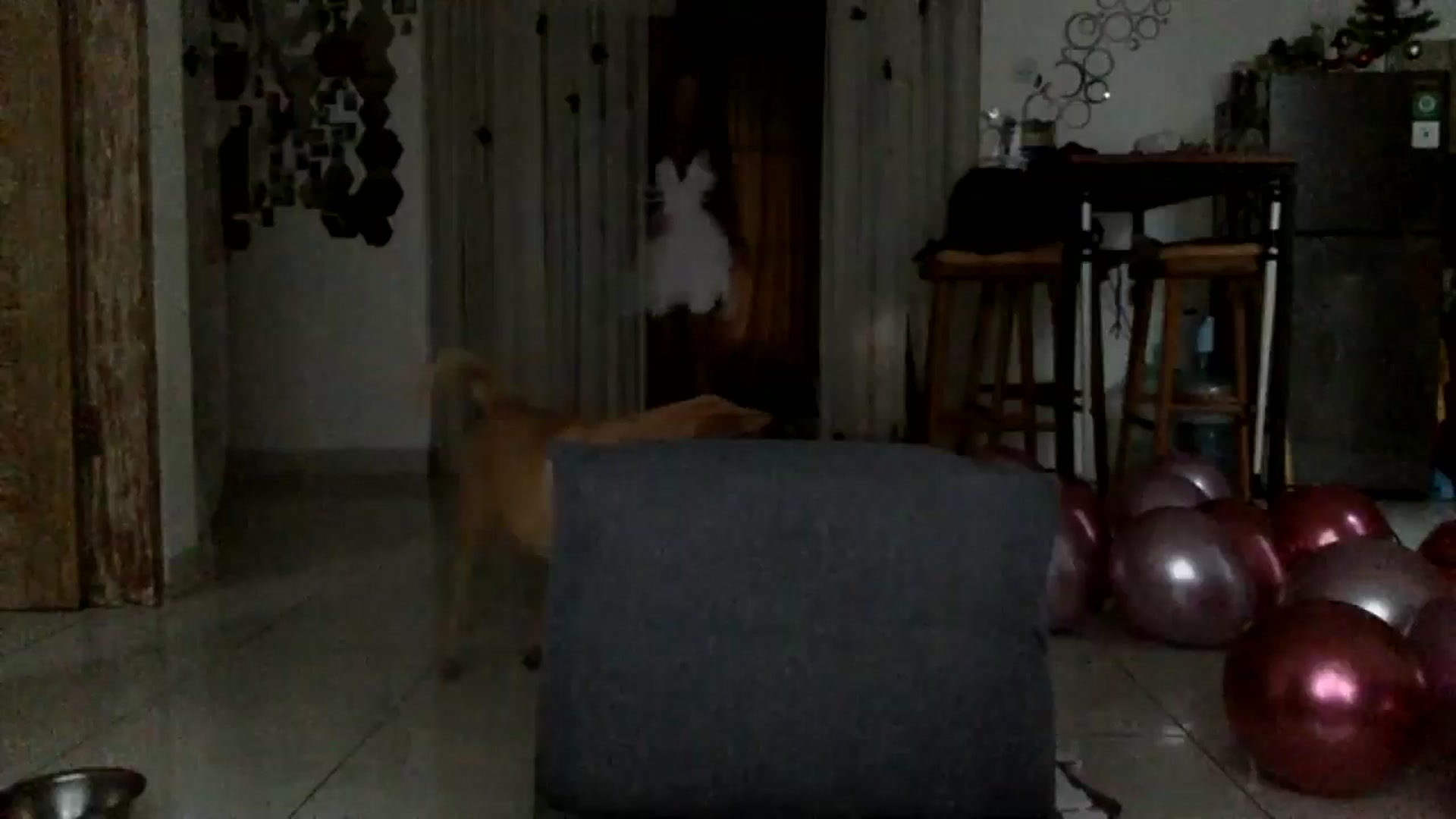 Gallery image thumbnail from Qi_ra's myfreecams stream on, 01/12/2025, 10:48 image 16 of 20