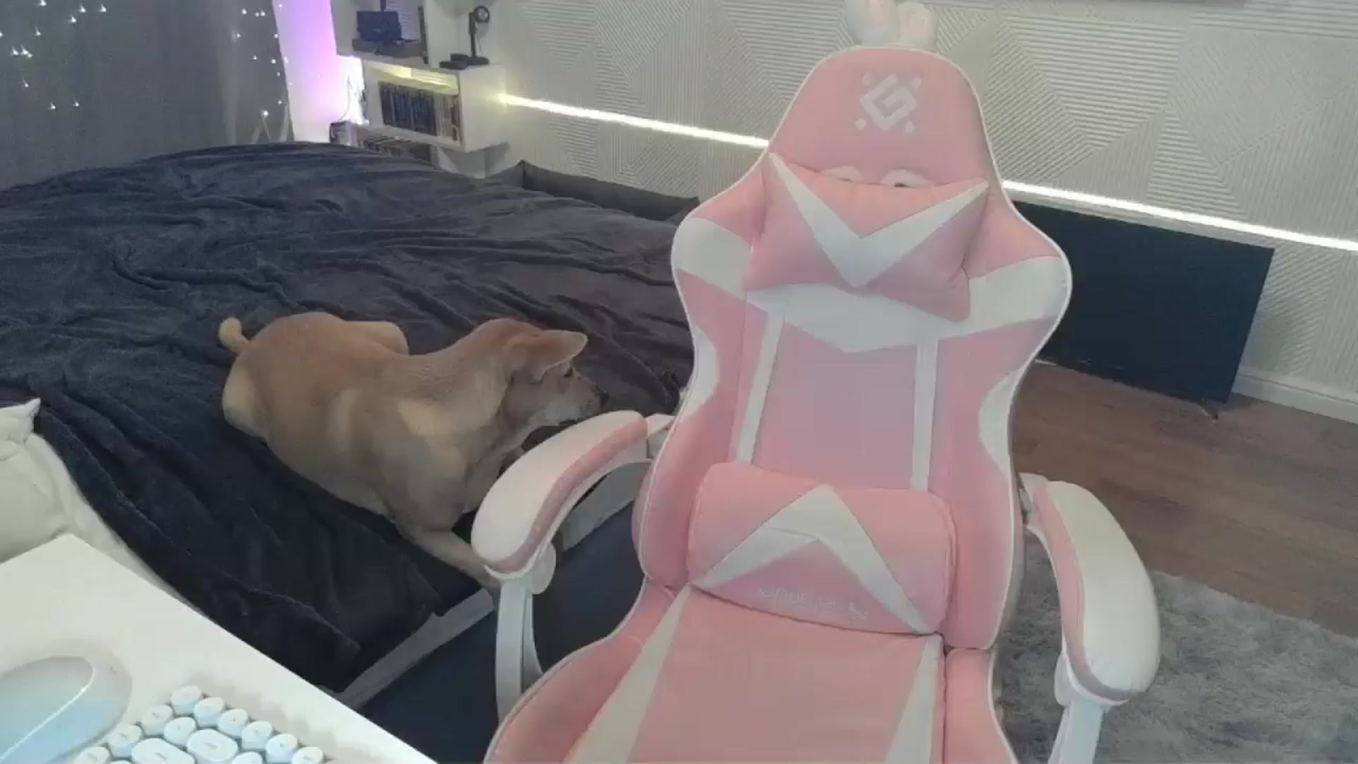 Gallery image thumbnail from Qi_ra's myfreecams stream on, 12/22/2025, 22:44 image 13 of 20