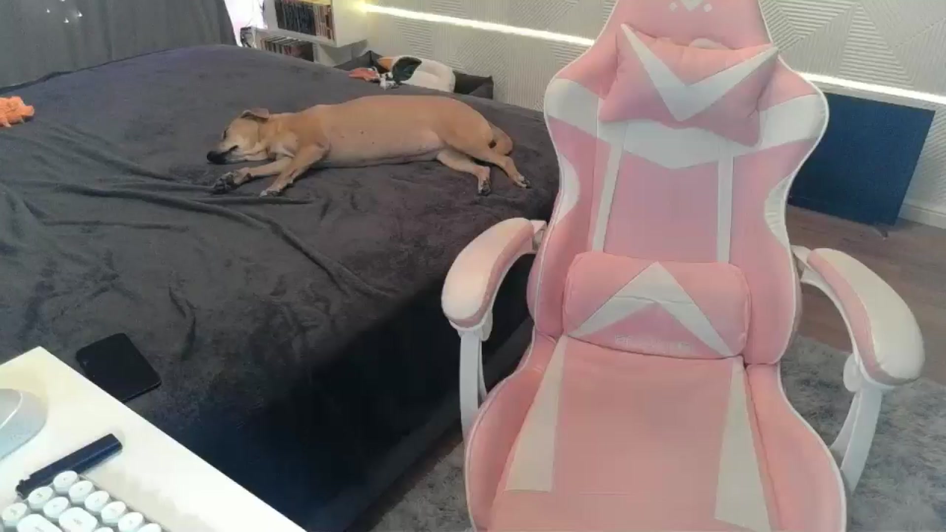 Gallery image thumbnail from Qi_ra's myfreecams stream on, 12/31/2025, 19:18 image 16 of 20