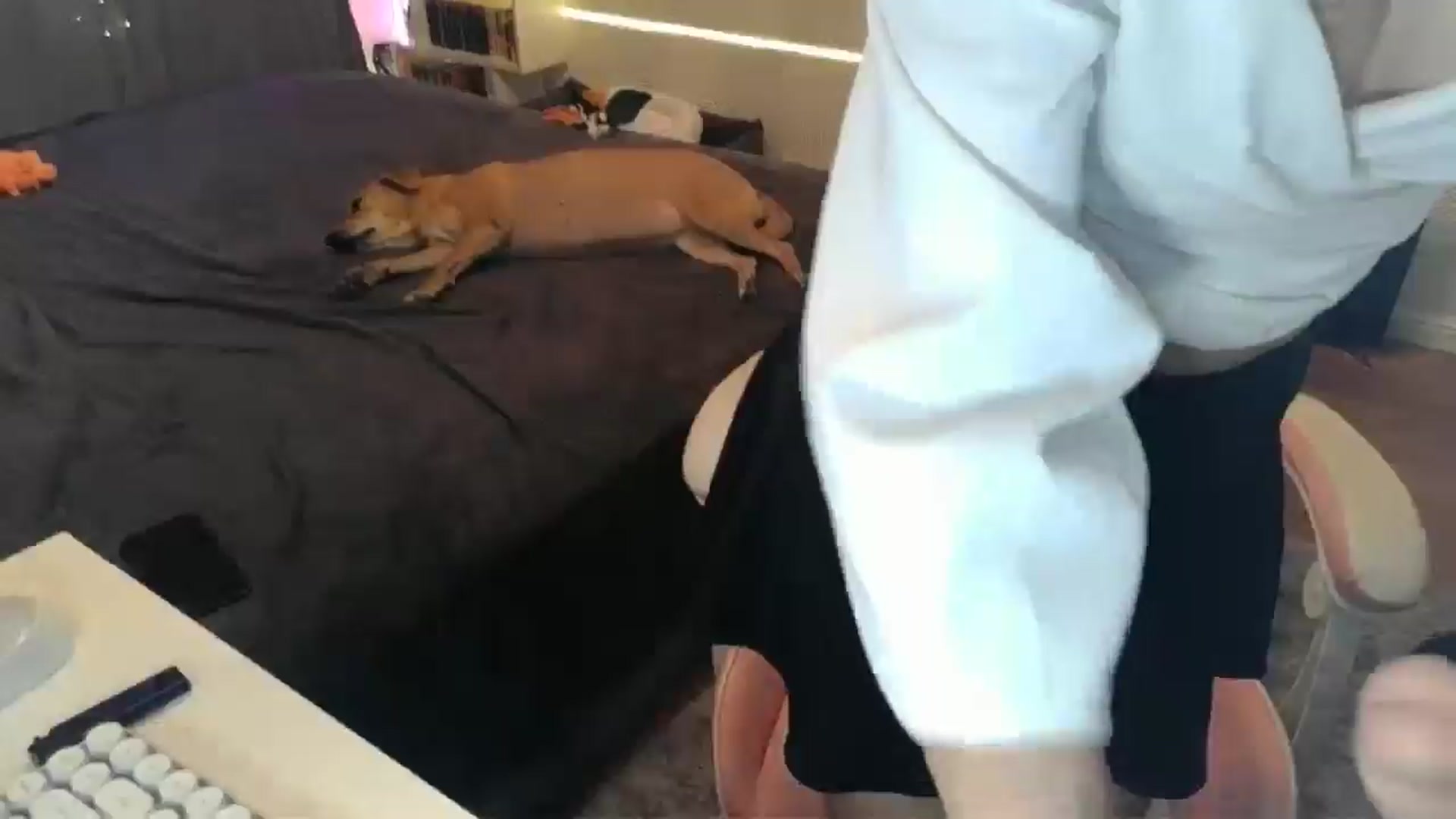 Gallery image thumbnail from Qi_ra's myfreecams stream on, 12/31/2025, 19:18 image 17 of 20