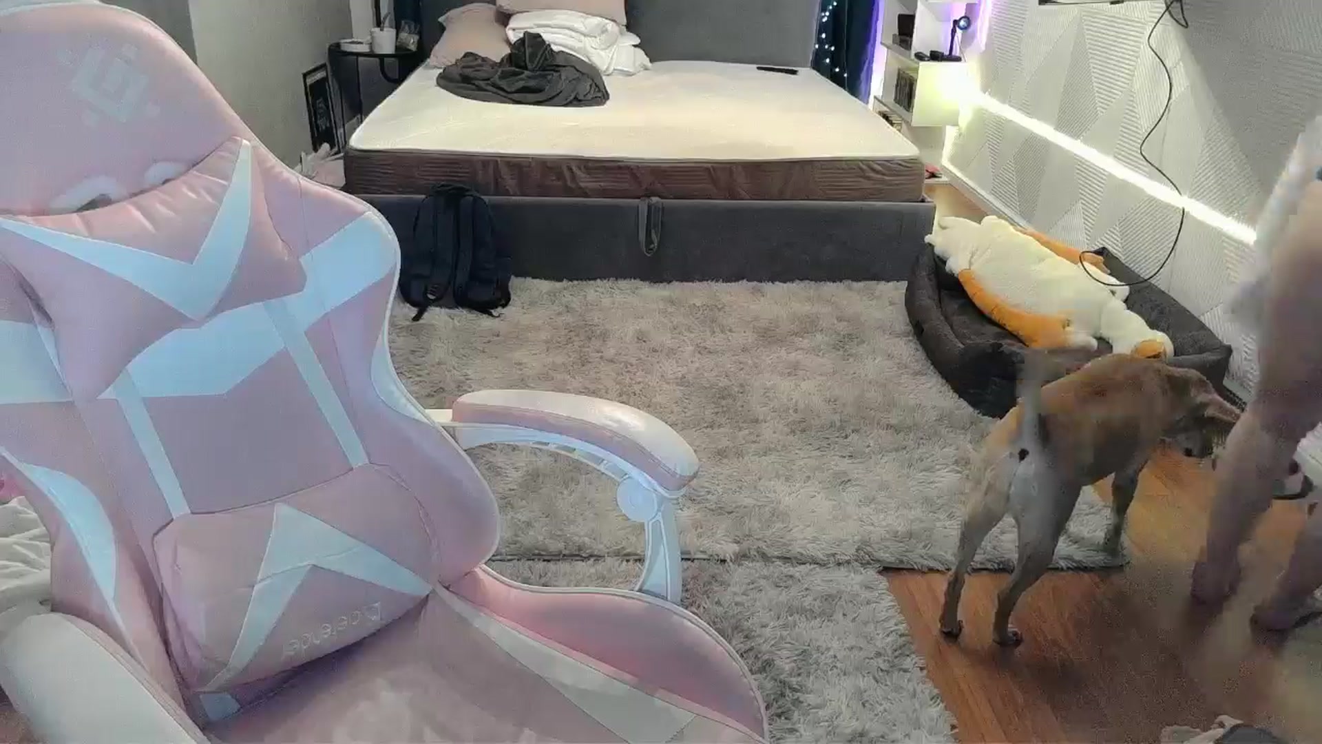 Gallery image thumbnail from Qi_ra's myfreecams stream on, 03/22/2026, 20:27 image 20 of 20