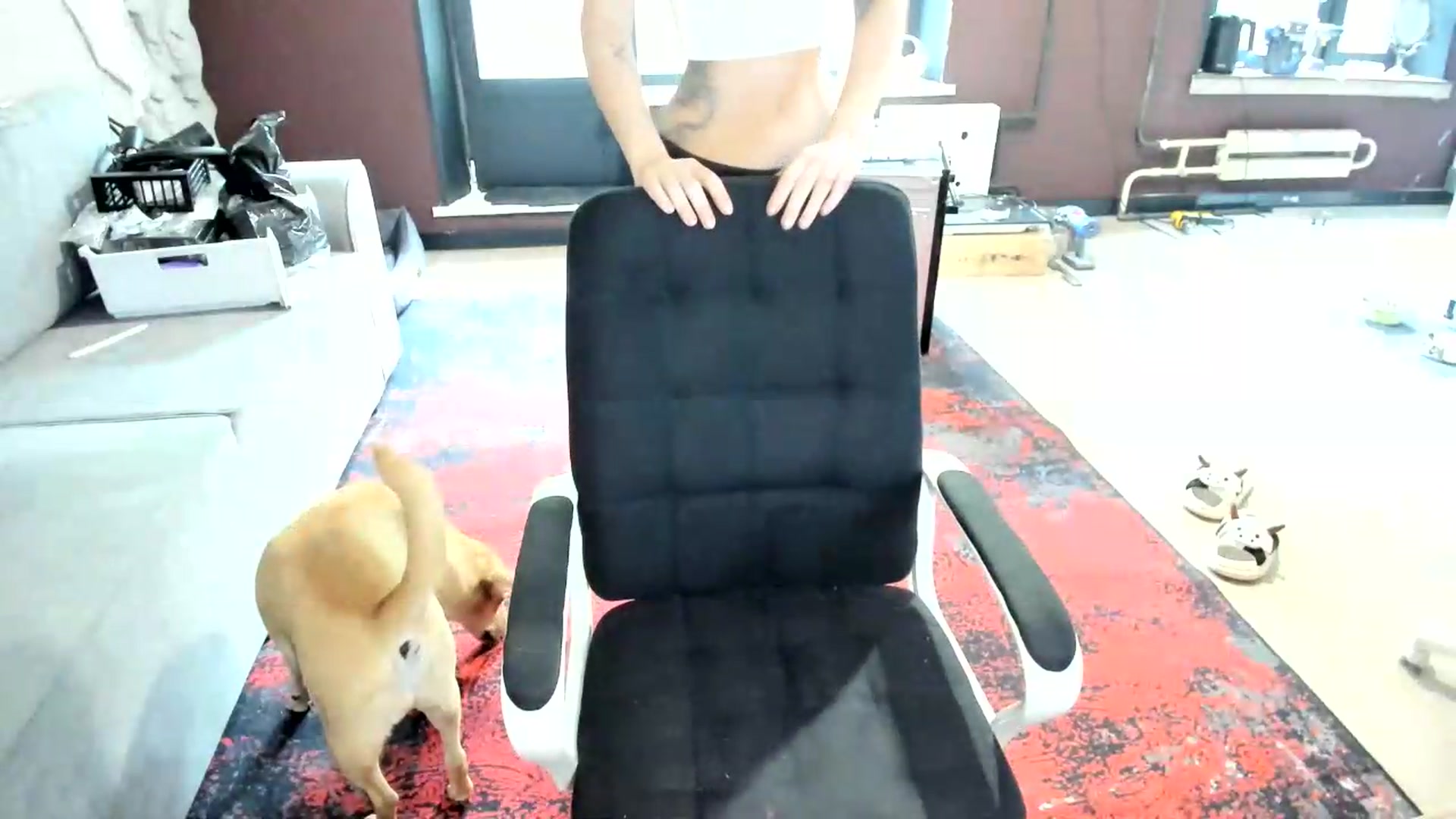 Gallery image thumbnail from Qi_ra's myfreecams stream on, 07/05/2026, 05:08 image 12 of 20