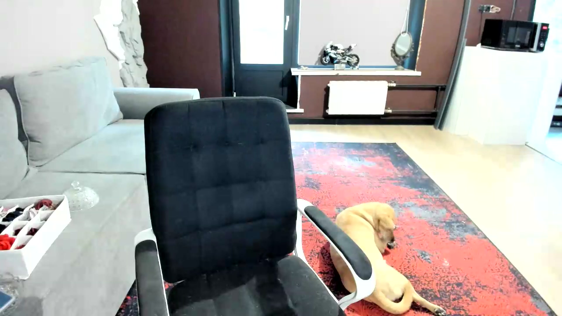Gallery image thumbnail from Qi_ra's myfreecams stream on, 08/12/2026, 04:12 image 19 of 20