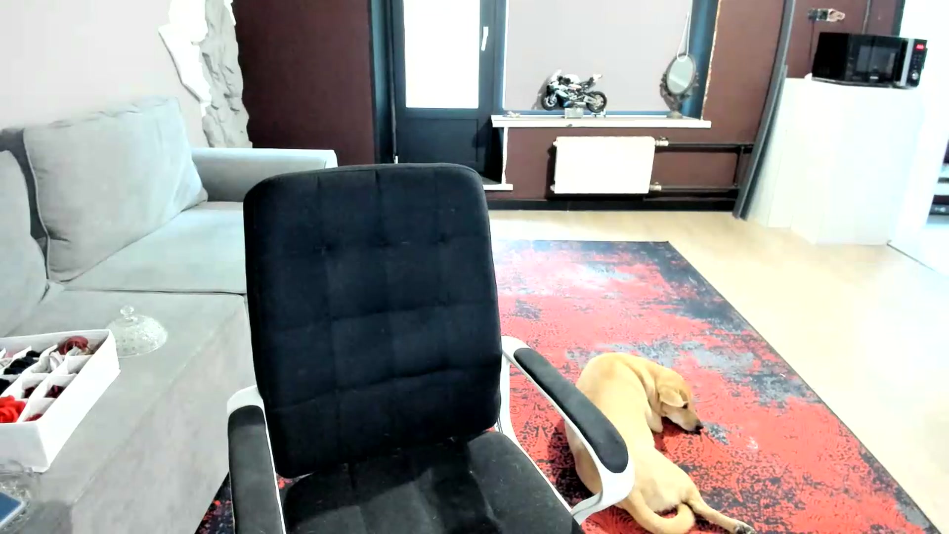 Gallery image thumbnail from Qi_ra's myfreecams stream on, 08/12/2026, 04:12 image 20 of 20