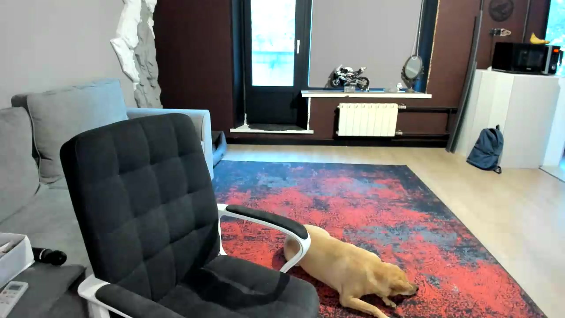 Gallery image thumbnail from Qi_ra's myfreecams stream on, 08/14/2026, 04:36 image 18 of 20