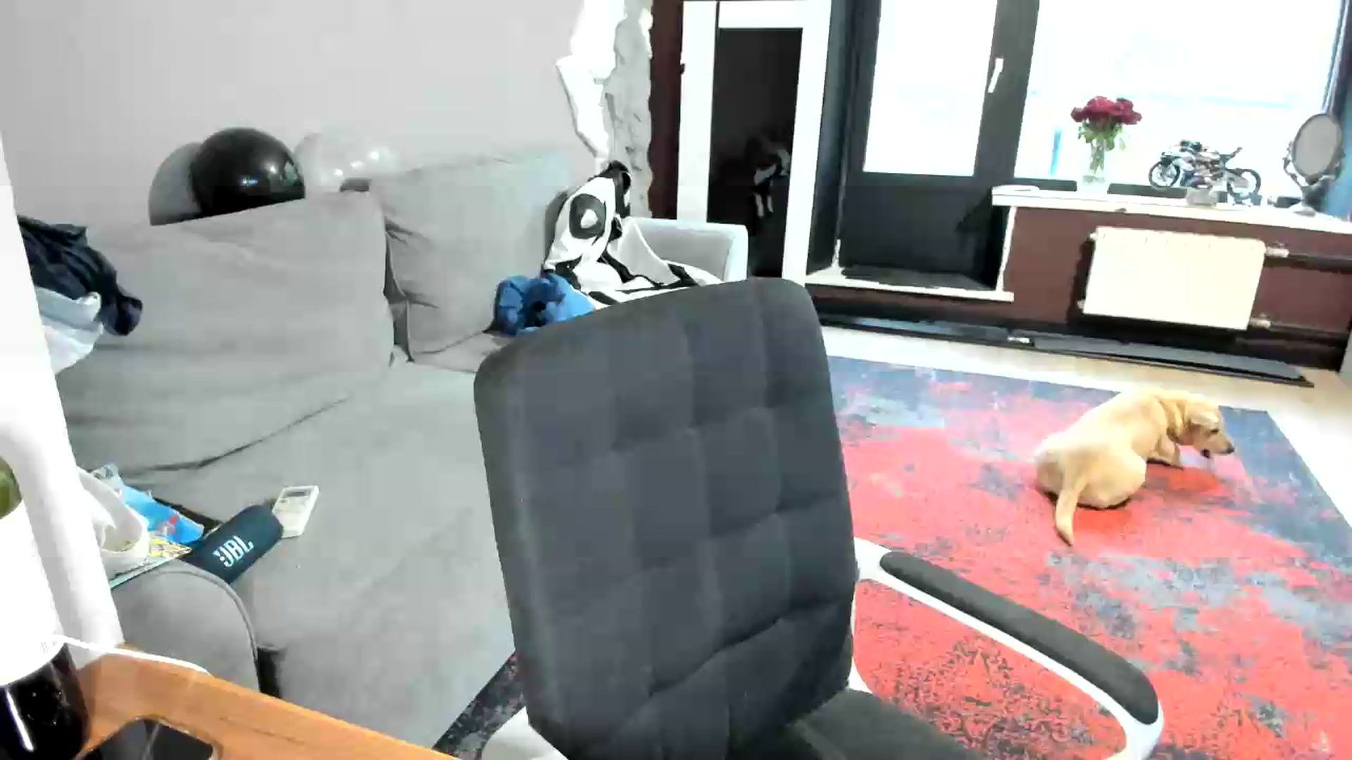 Gallery image thumbnail from Qi_ra's myfreecams stream on, 08/27/2026, 15:08 image 13 of 20