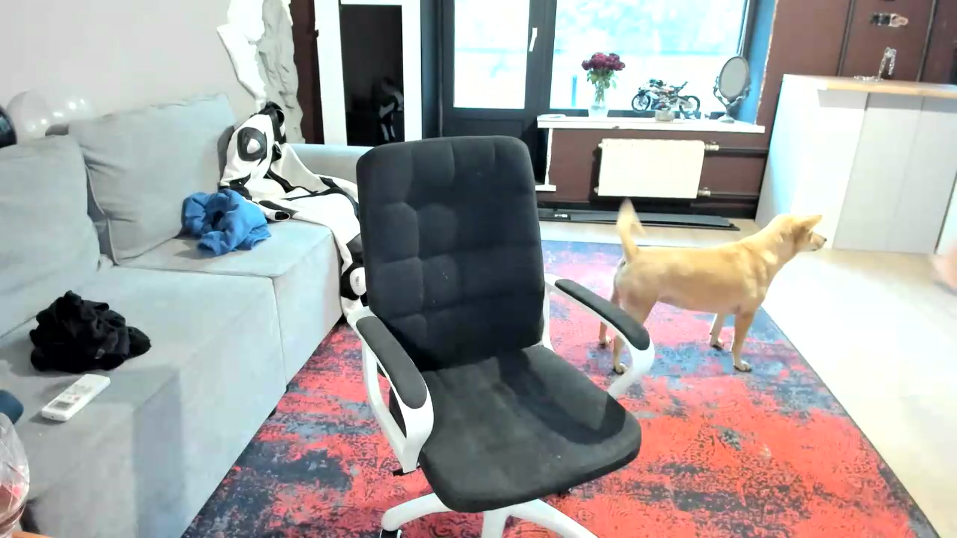 Gallery image thumbnail from Qi_ra's myfreecams stream on, 08/27/2026, 15:39 image 19 of 20