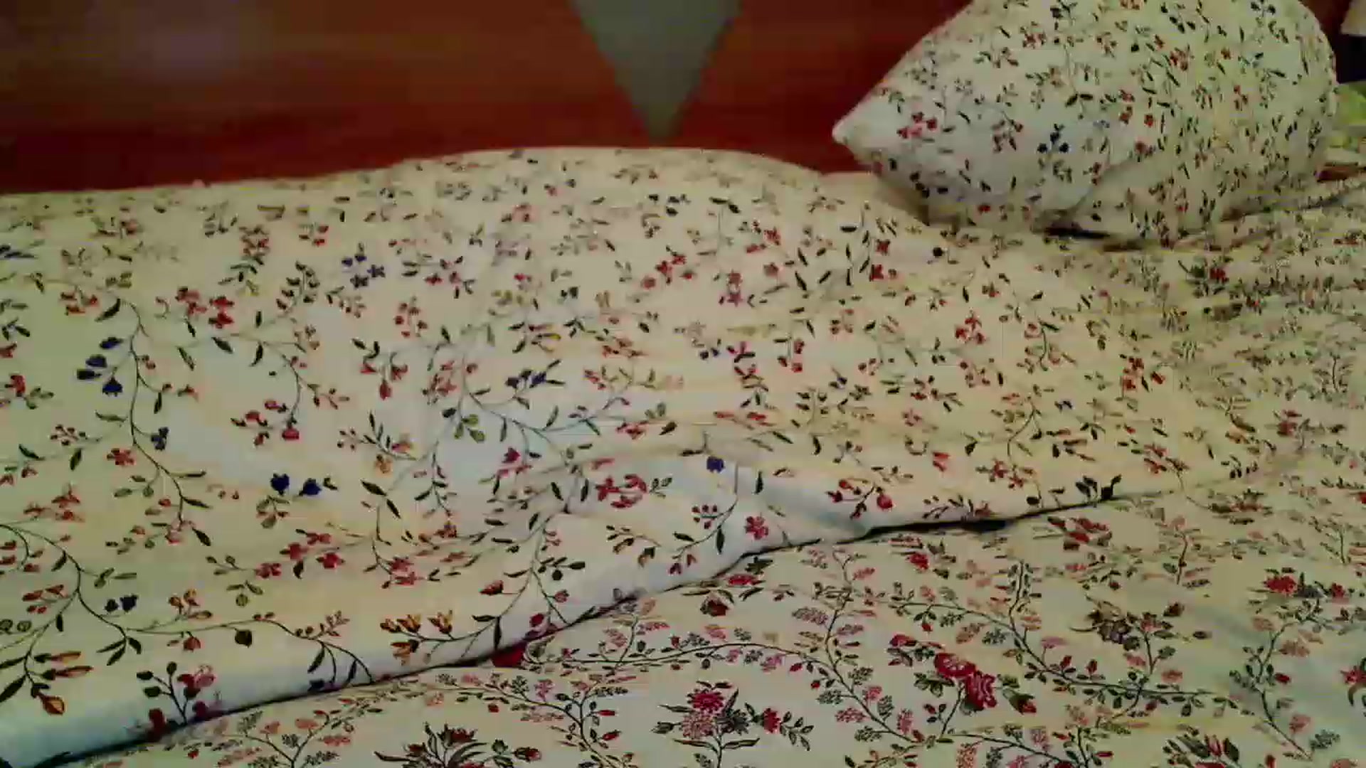Gallery image thumbnail from QueenDafina1's myfreecams stream on, 11/16/2022, 02:23 image 8 of 20
