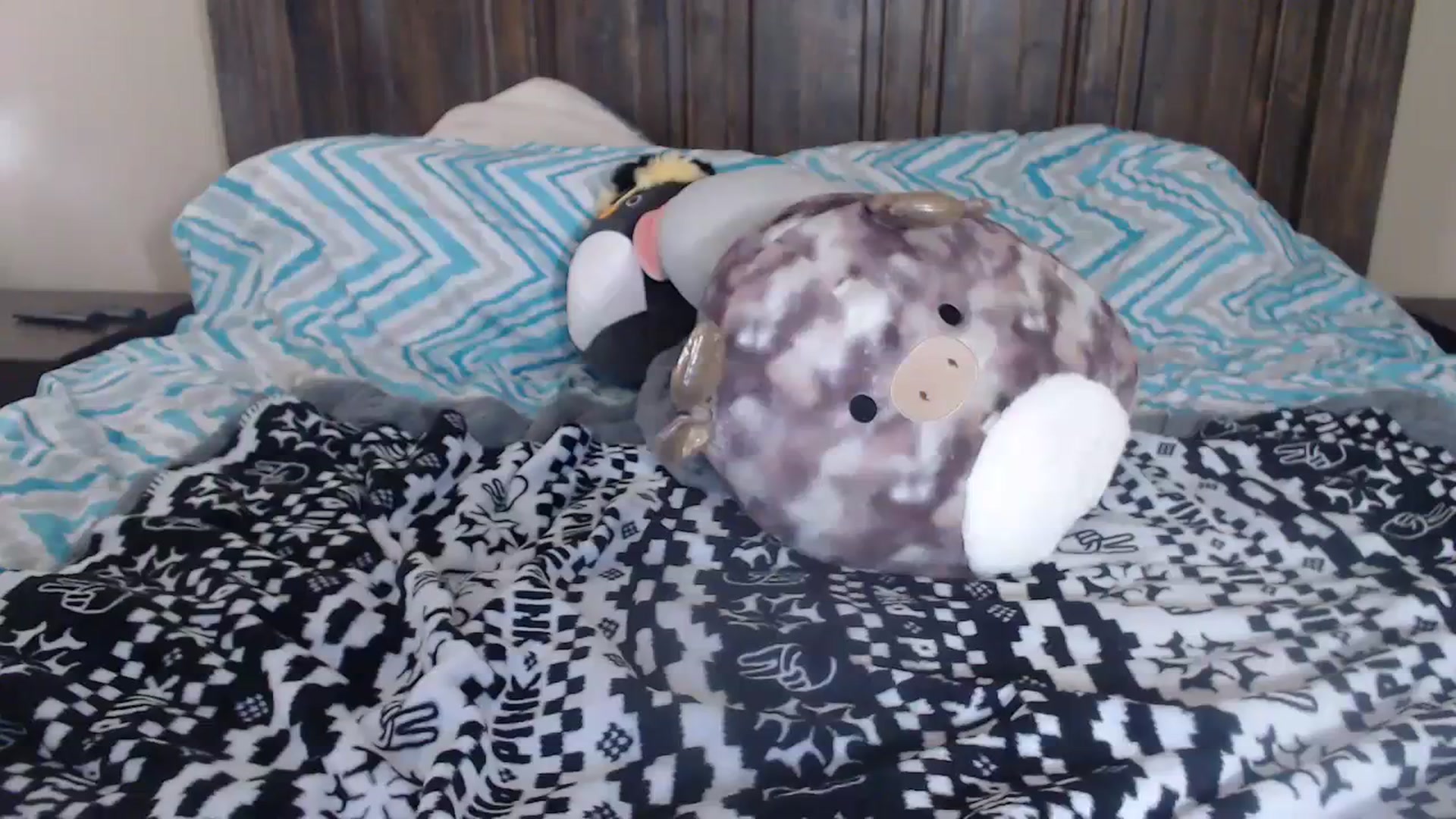 Gallery image thumbnail from QueenKM's myfreecams stream on, 11/17/2023, 16:04 image 16 of 20