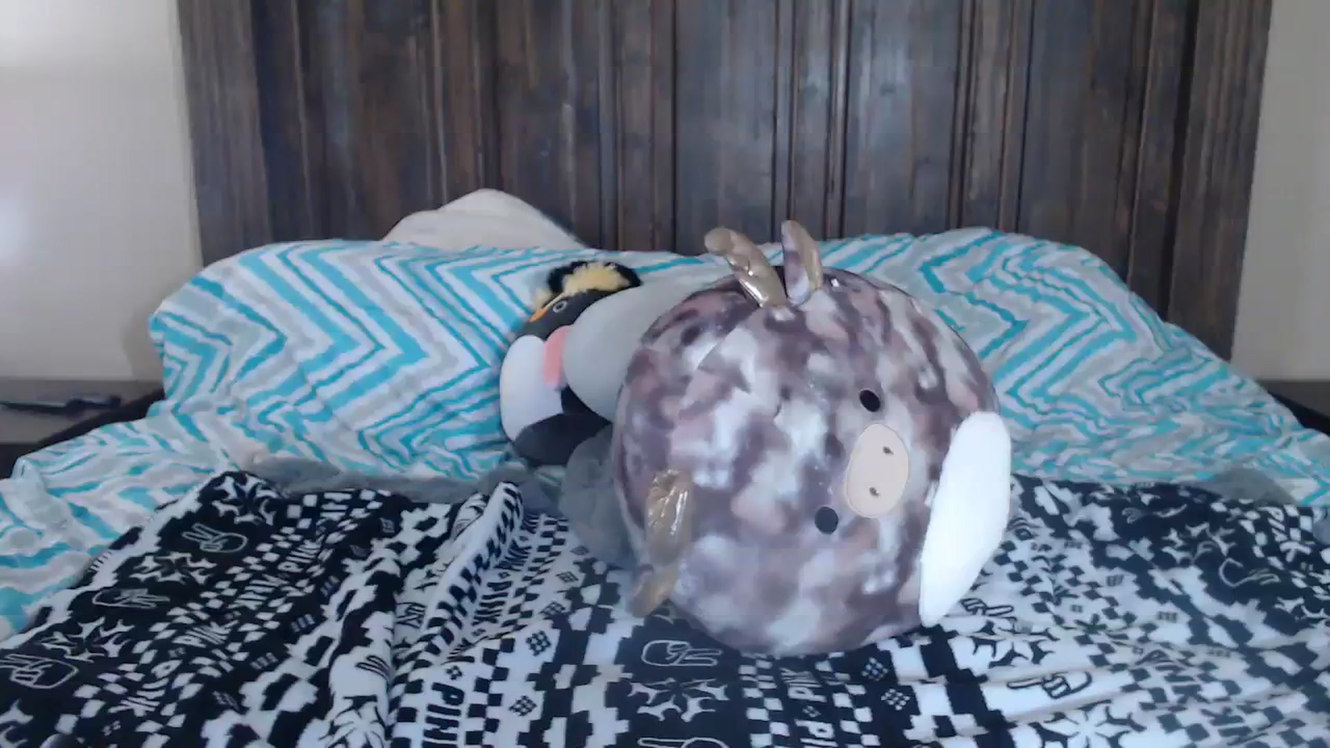 Gallery image thumbnail from QueenKM's myfreecams stream on, 11/17/2023, 16:04 image 12 of 20