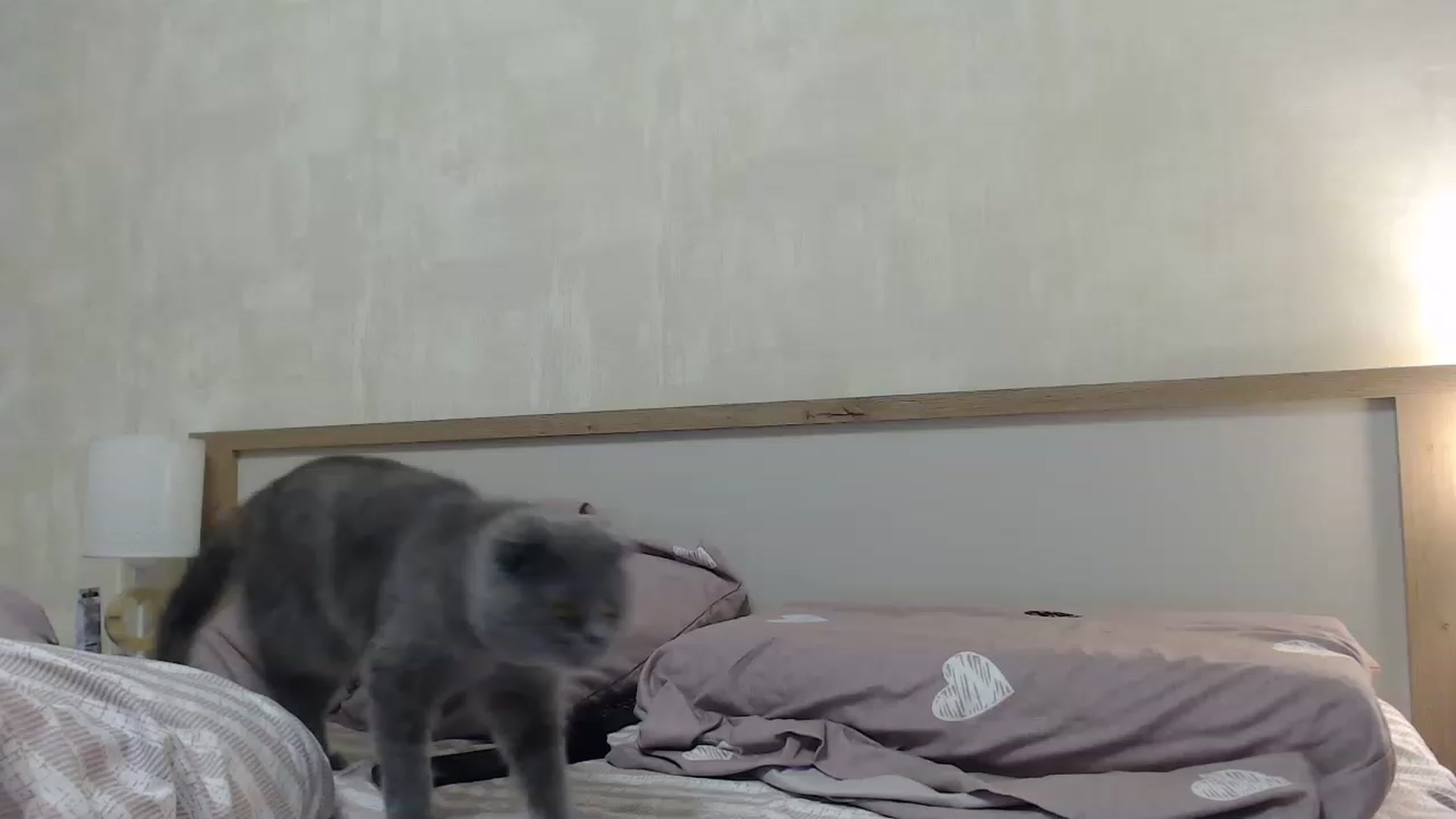 Gallery image thumbnail from QueenSmile's myfreecams stream on, 04/01/2023, 20:10 image 2 of 20
