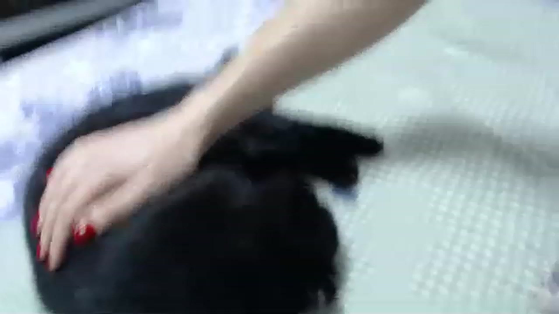 Gallery image thumbnail from QueenSmile's myfreecams stream on, 04/16/2023, 16:56 image 18 of 20