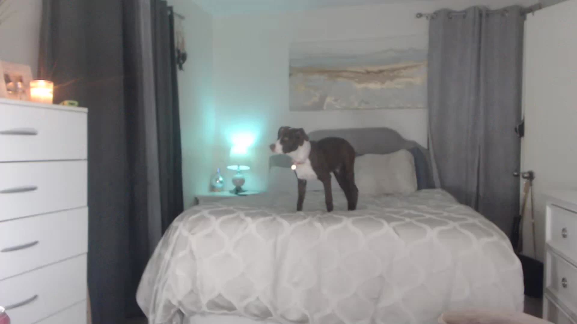 Gallery image thumbnail from Queen_bambii's myfreecams stream on, 11/16/2022, 08:38 image 12 of 20