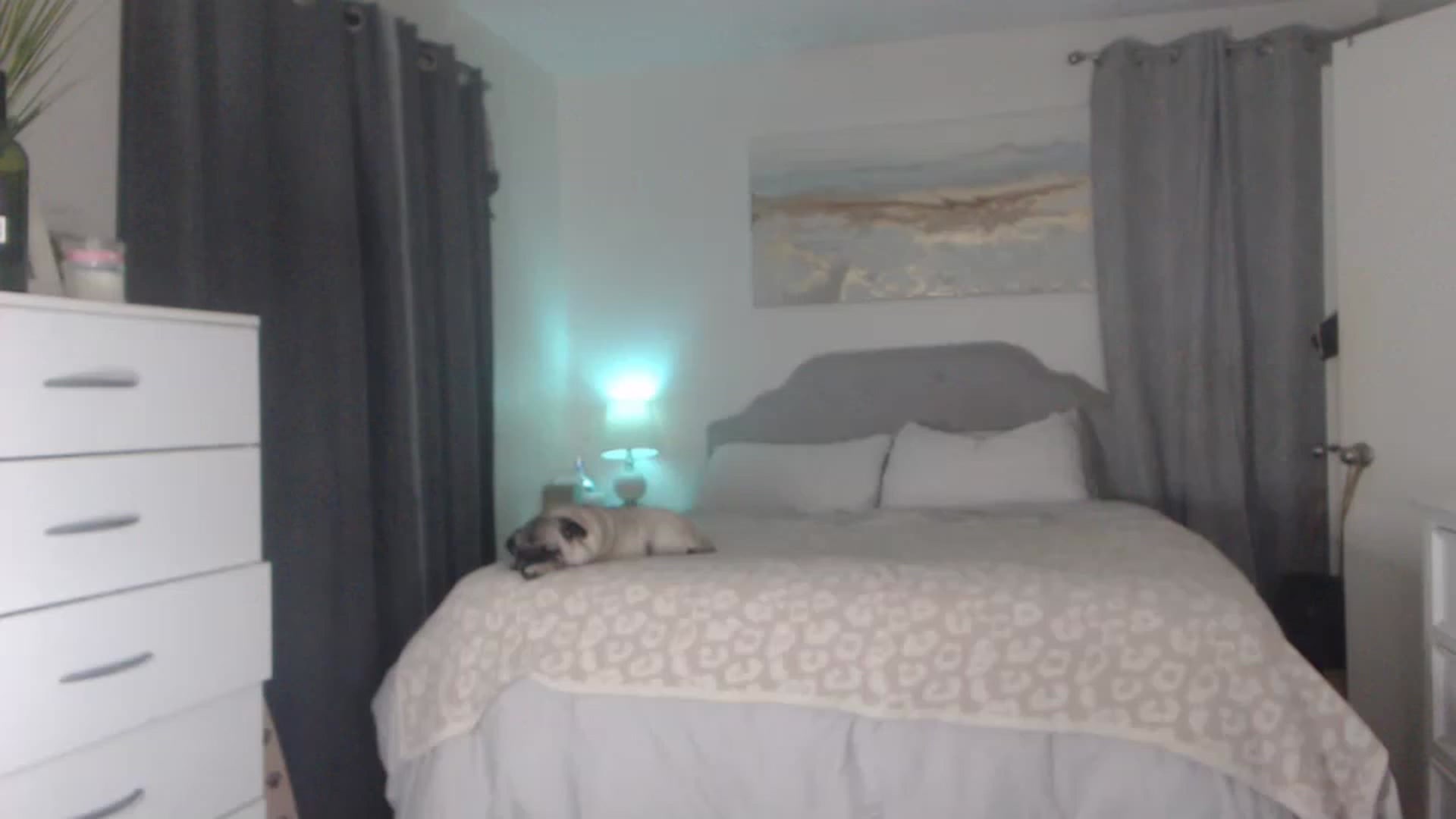 Gallery image thumbnail from Queen_bambii's myfreecams stream on, 11/22/2022, 07:37 image 15 of 20
