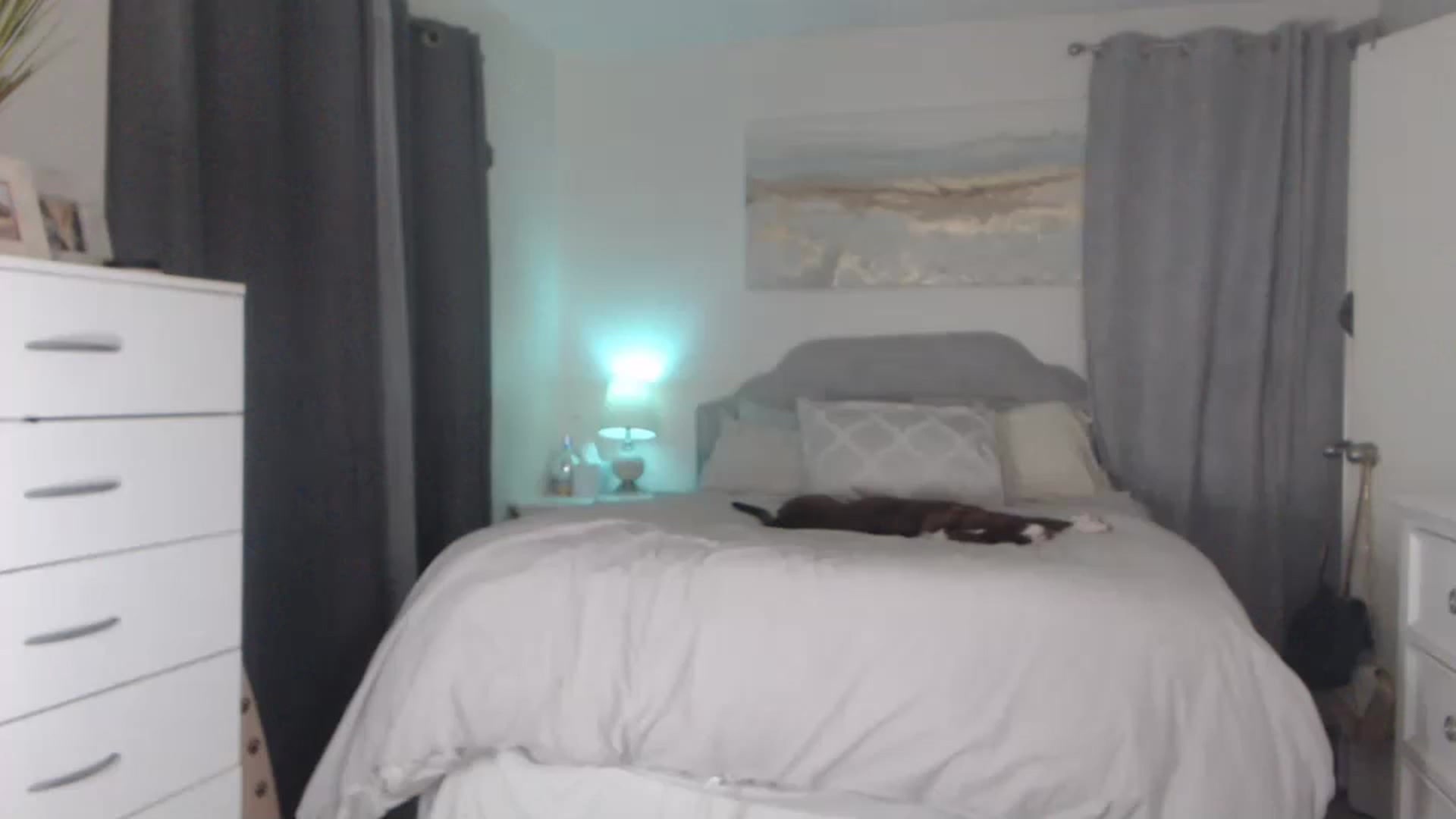 Gallery image thumbnail from Queen_bambii's myfreecams stream on, 12/03/2022, 07:00 image 19 of 20