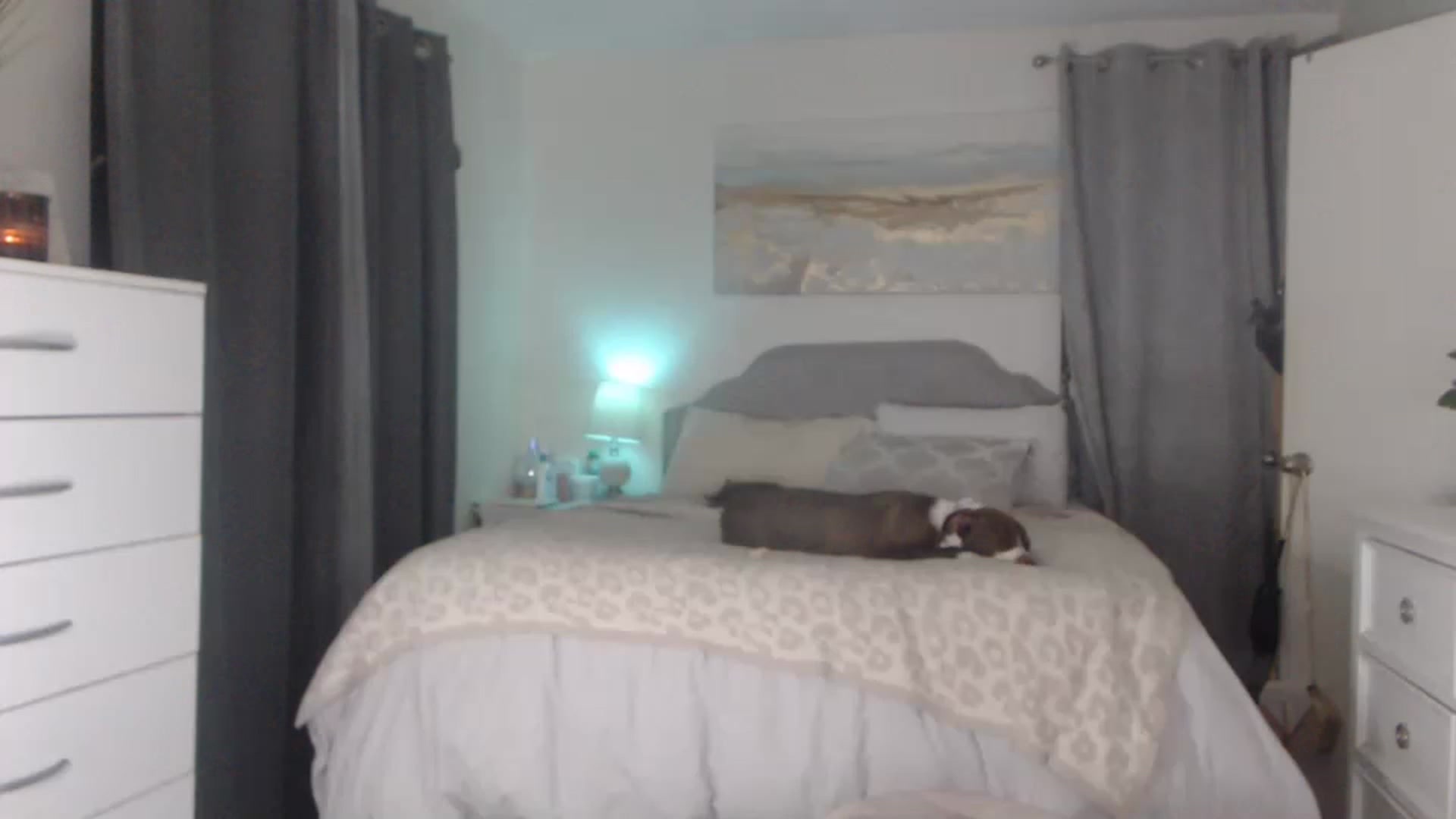Gallery image thumbnail from Queen_bambii's myfreecams stream on, 12/09/2022, 04:31 image 20 of 20