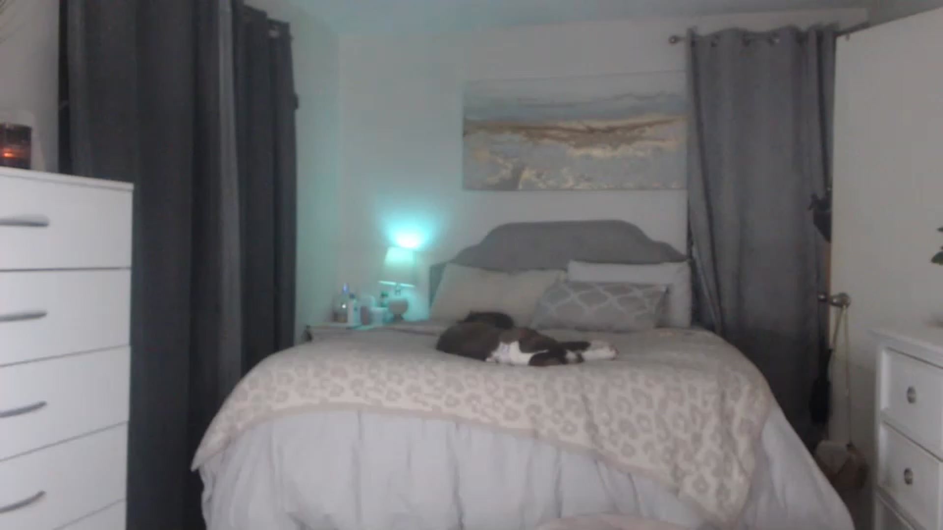 Gallery image thumbnail from Queen_bambii's myfreecams stream on, 12/09/2022, 04:31 image 19 of 20