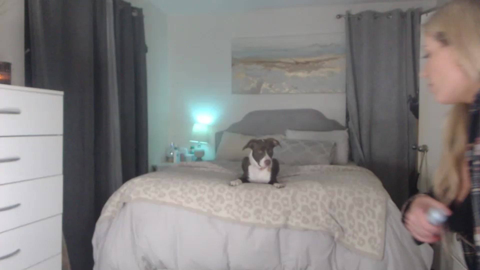 Gallery image thumbnail from Queen_bambii's myfreecams stream on, 12/09/2022, 07:53 image 10 of 20