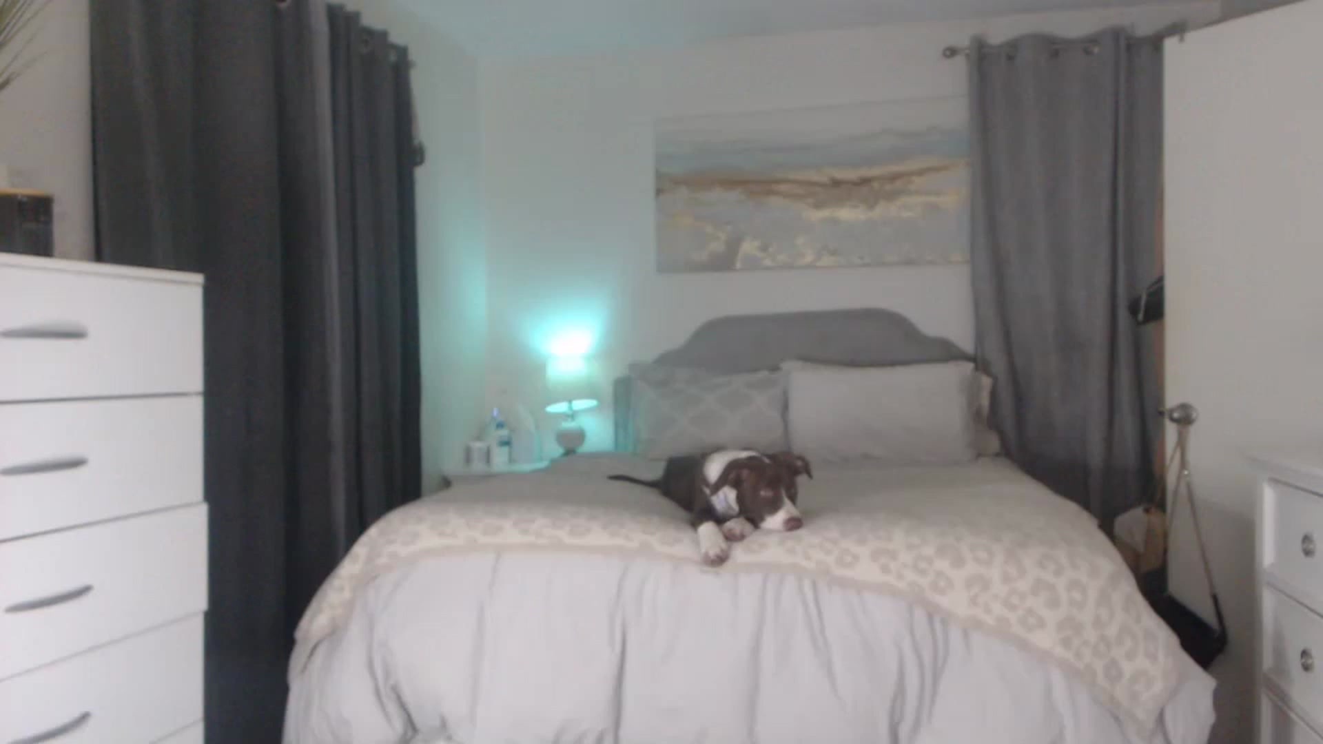 Gallery image thumbnail from Queen_bambii's myfreecams stream on, 12/11/2022, 09:41 image 2 of 20