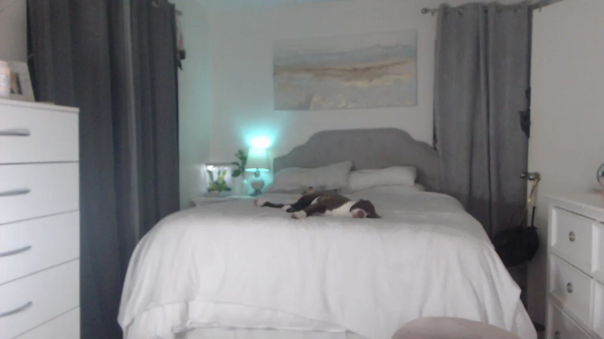 Gallery image thumbnail from Queen_bambii's myfreecams stream on, 01/04/2023, 06:52 image 14 of 20