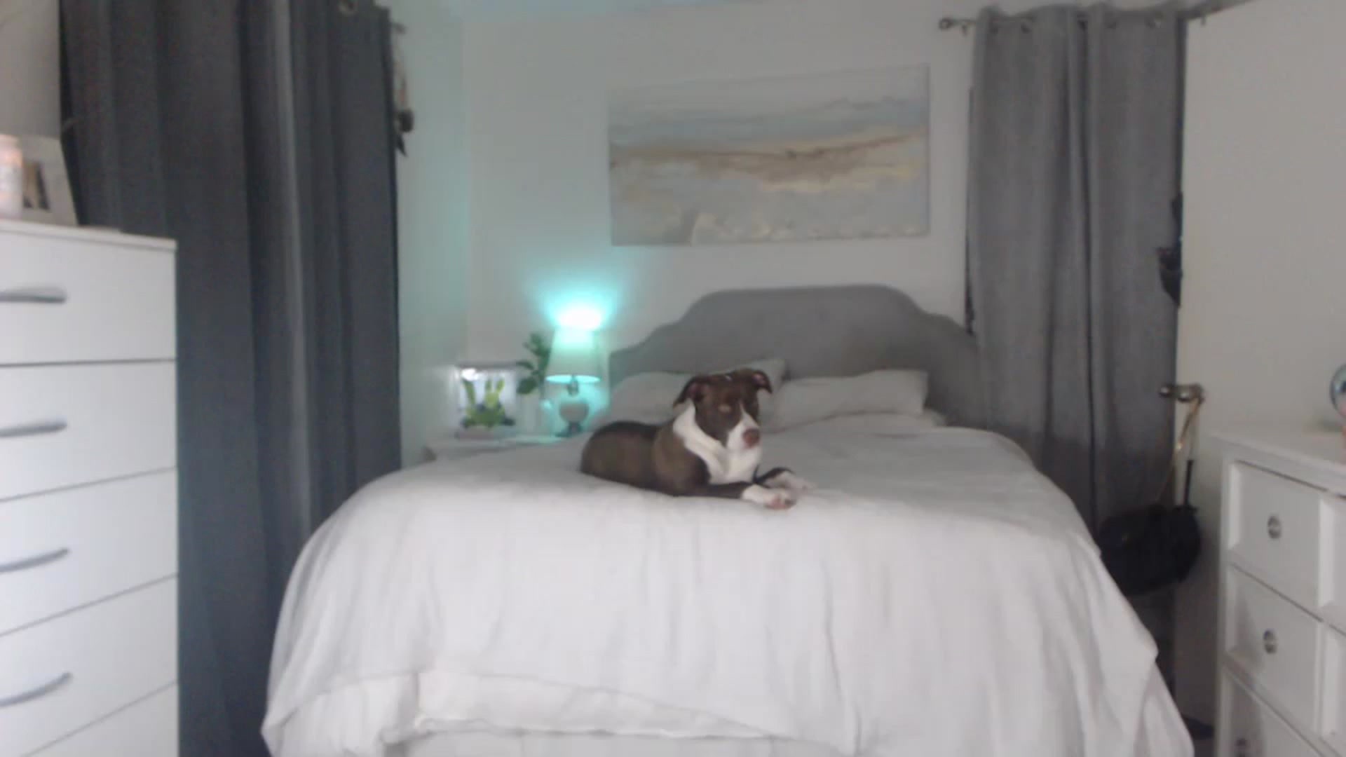 Gallery image thumbnail from Queen_bambii's myfreecams stream on, 01/04/2023, 06:52 image 4 of 20