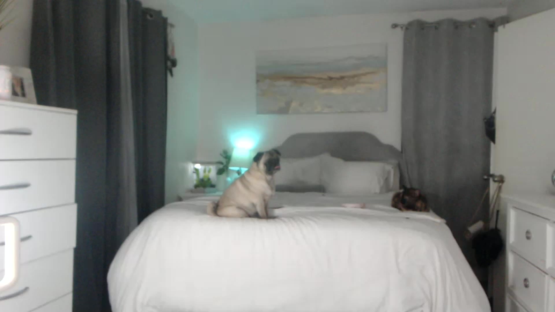 Gallery image thumbnail from Queen_bambii's myfreecams stream on, 01/06/2023, 07:31 image 16 of 20