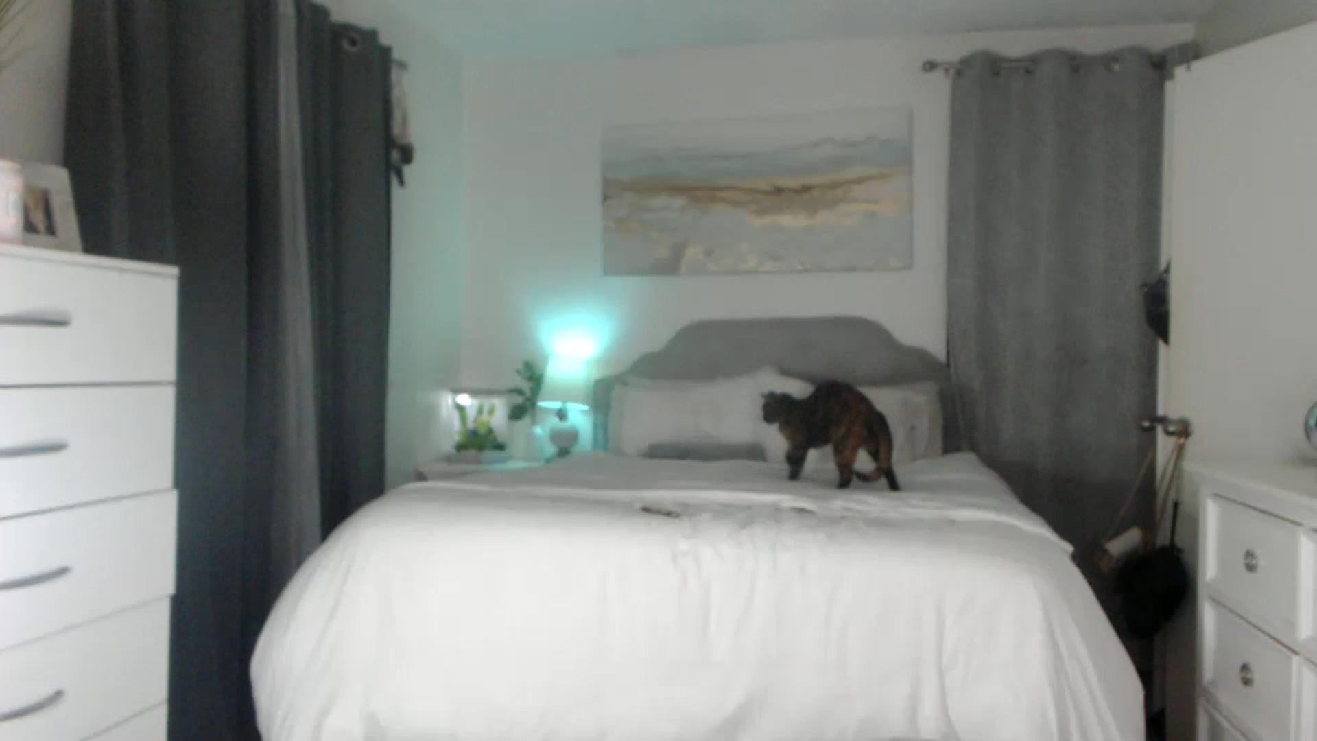 Gallery image thumbnail from Queen_bambii's myfreecams stream on, 01/06/2023, 07:31 image 8 of 20