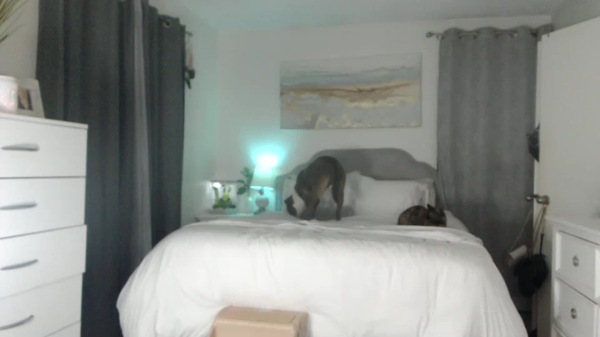 Gallery image thumbnail from Queen_bambii's myfreecams stream on, 01/06/2023, 08:33 image 1 of 20