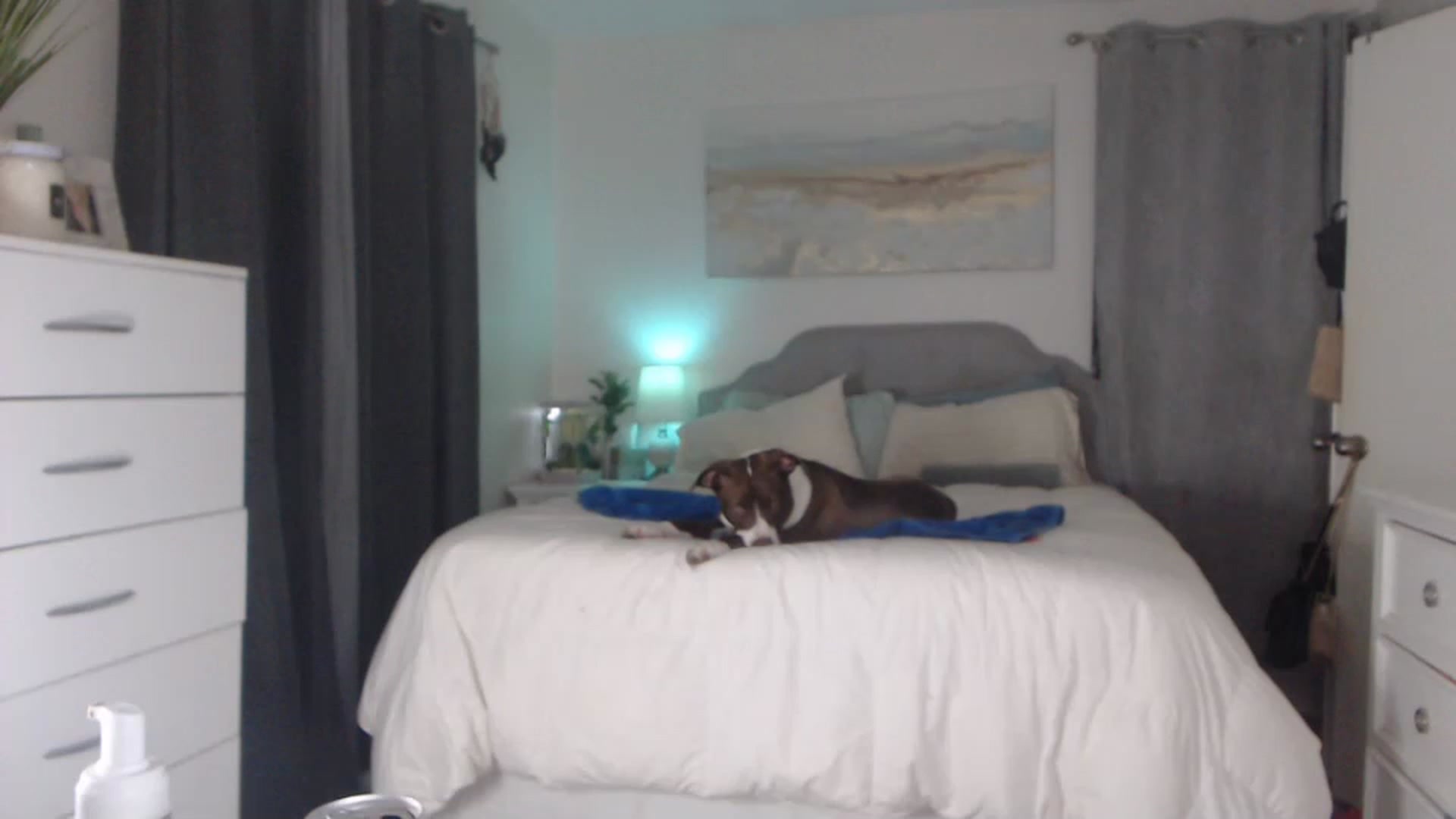Gallery image thumbnail from Queen_bambii's myfreecams stream on, 02/06/2023, 09:01 image 14 of 20