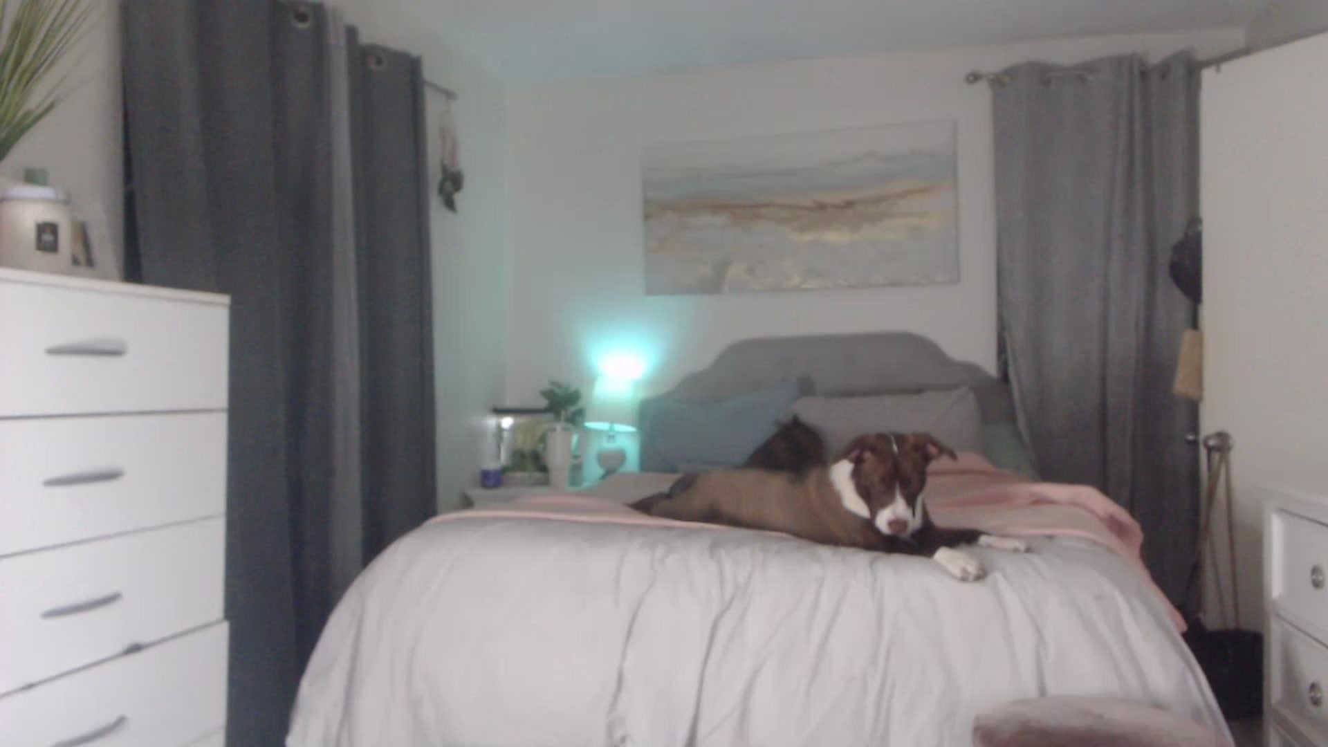 Gallery image thumbnail from Queen_bambii's myfreecams stream on, 02/11/2023, 09:38 image 5 of 20
